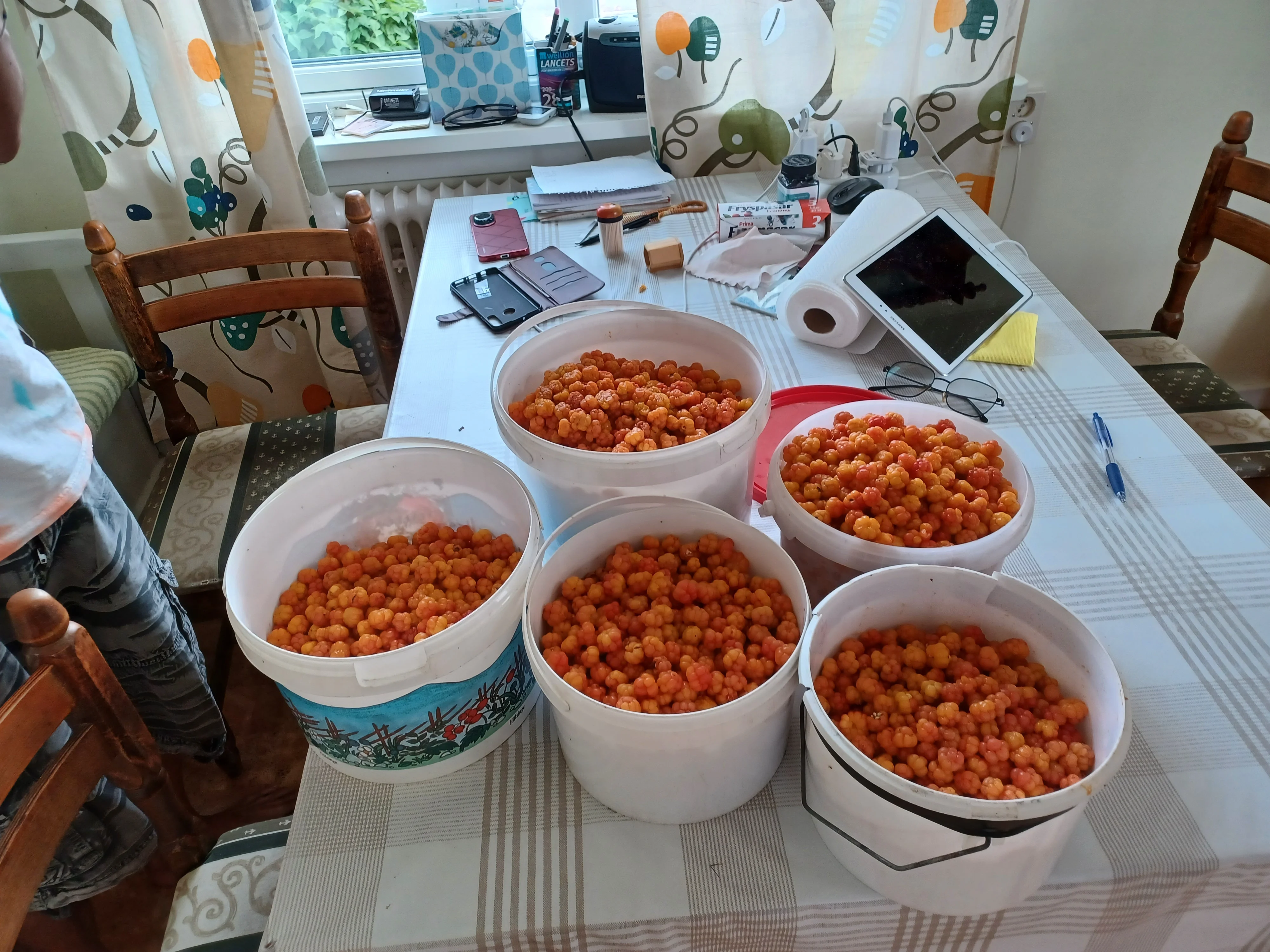 20250727_161312.webp