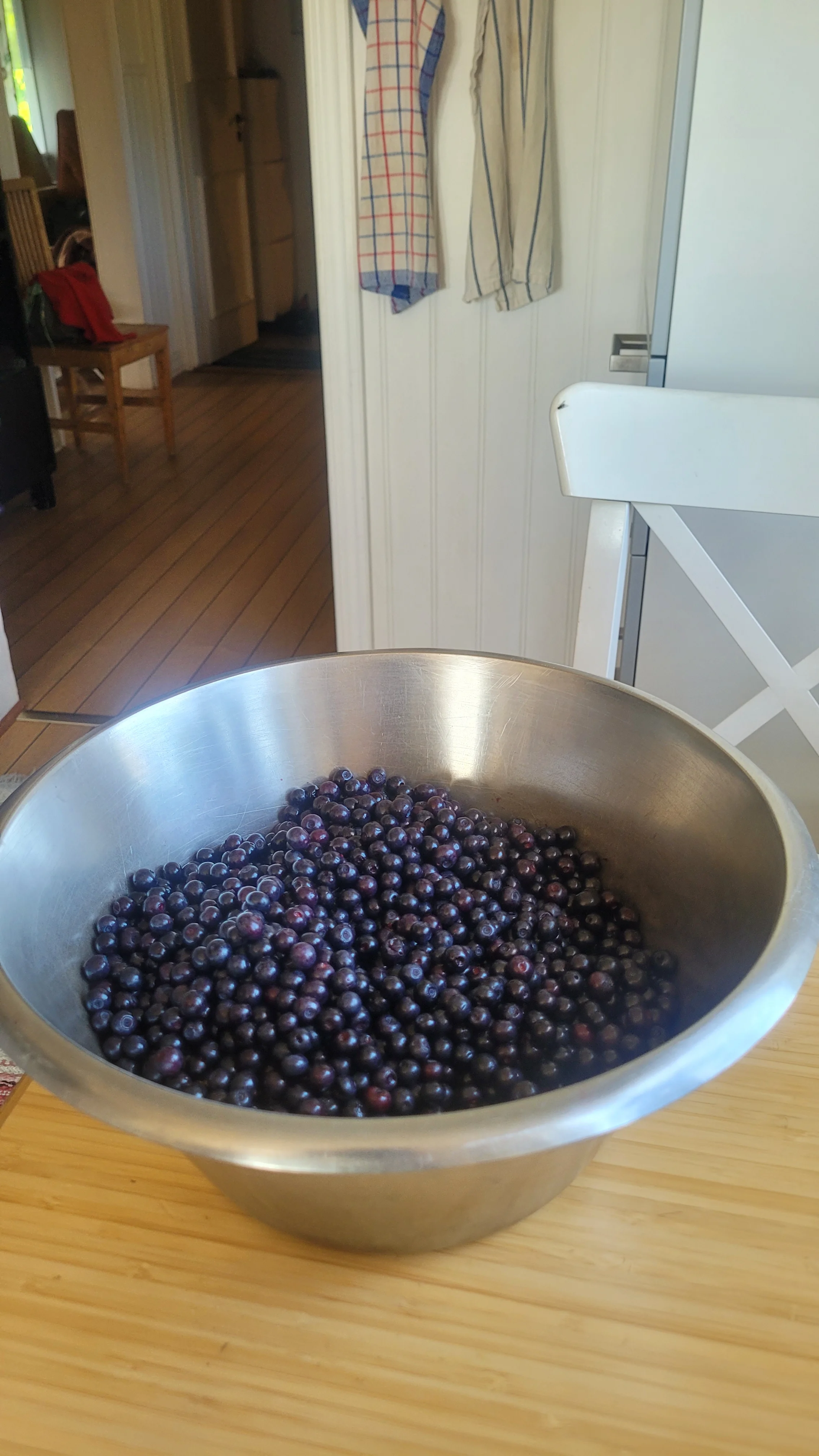 20250809_095735.webp