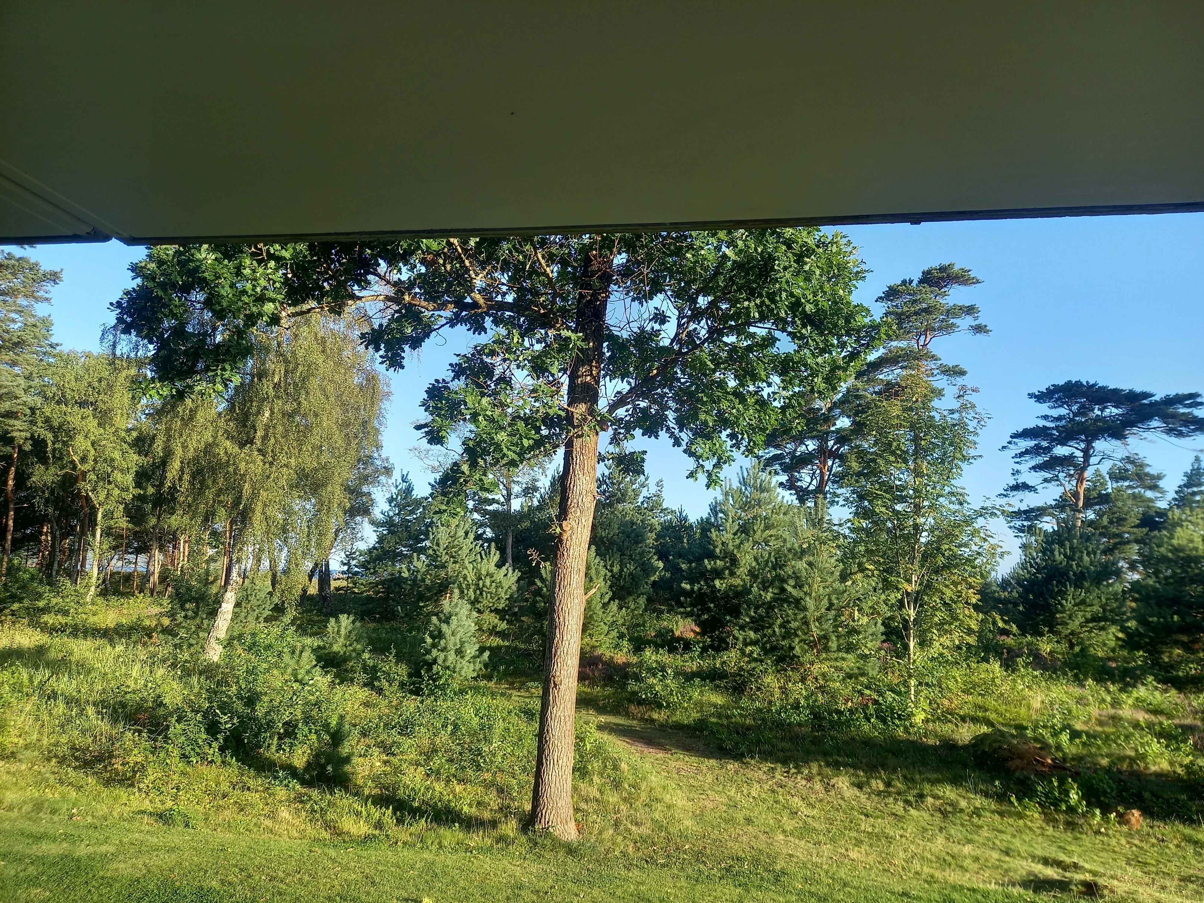 20250816_072619.webp