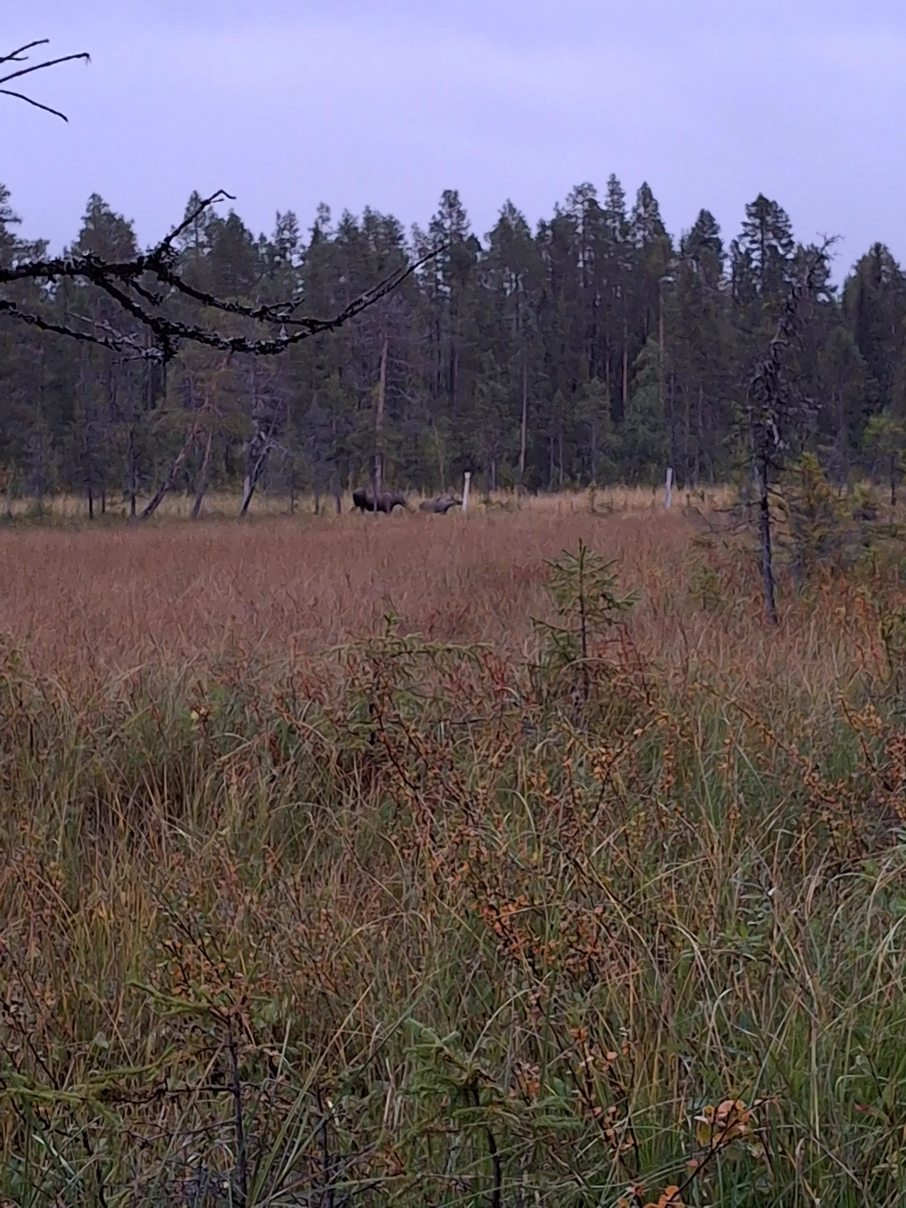 20250903_194345.webp