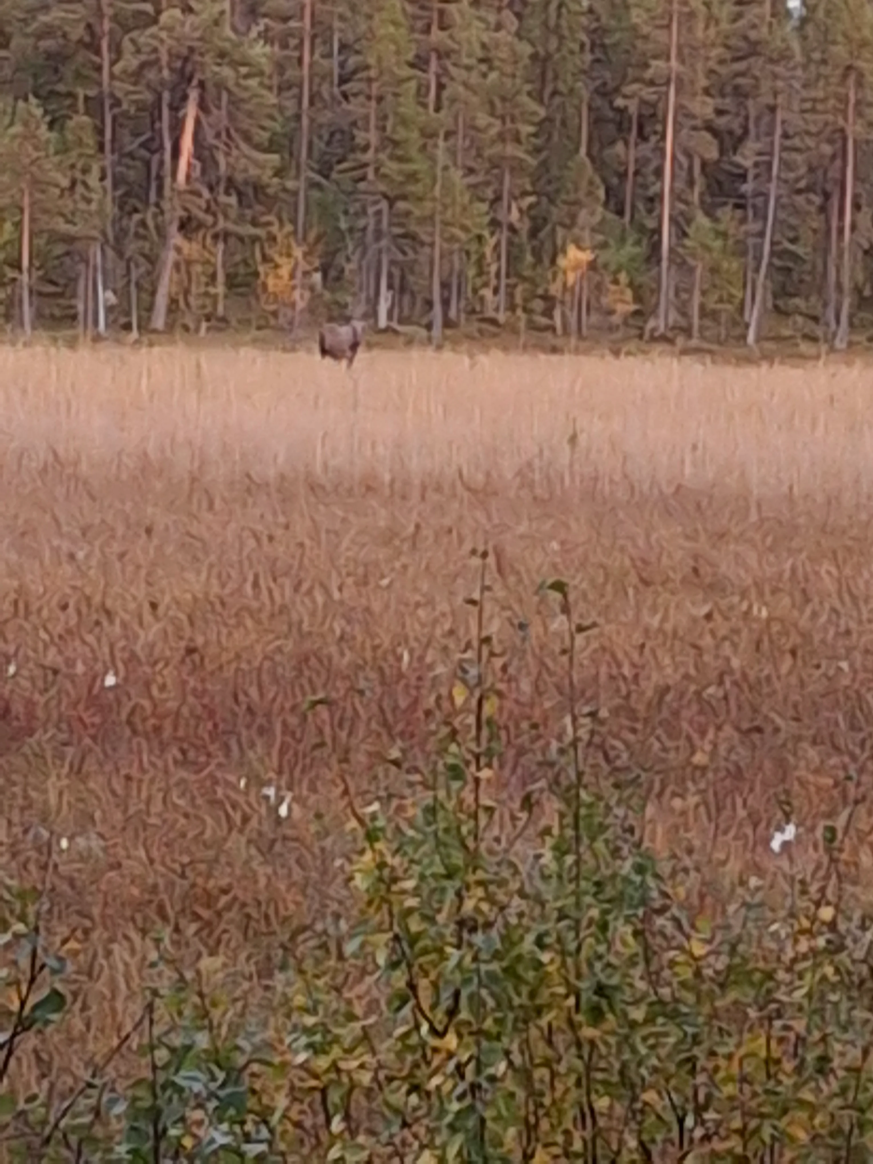 20250905_195830.webp