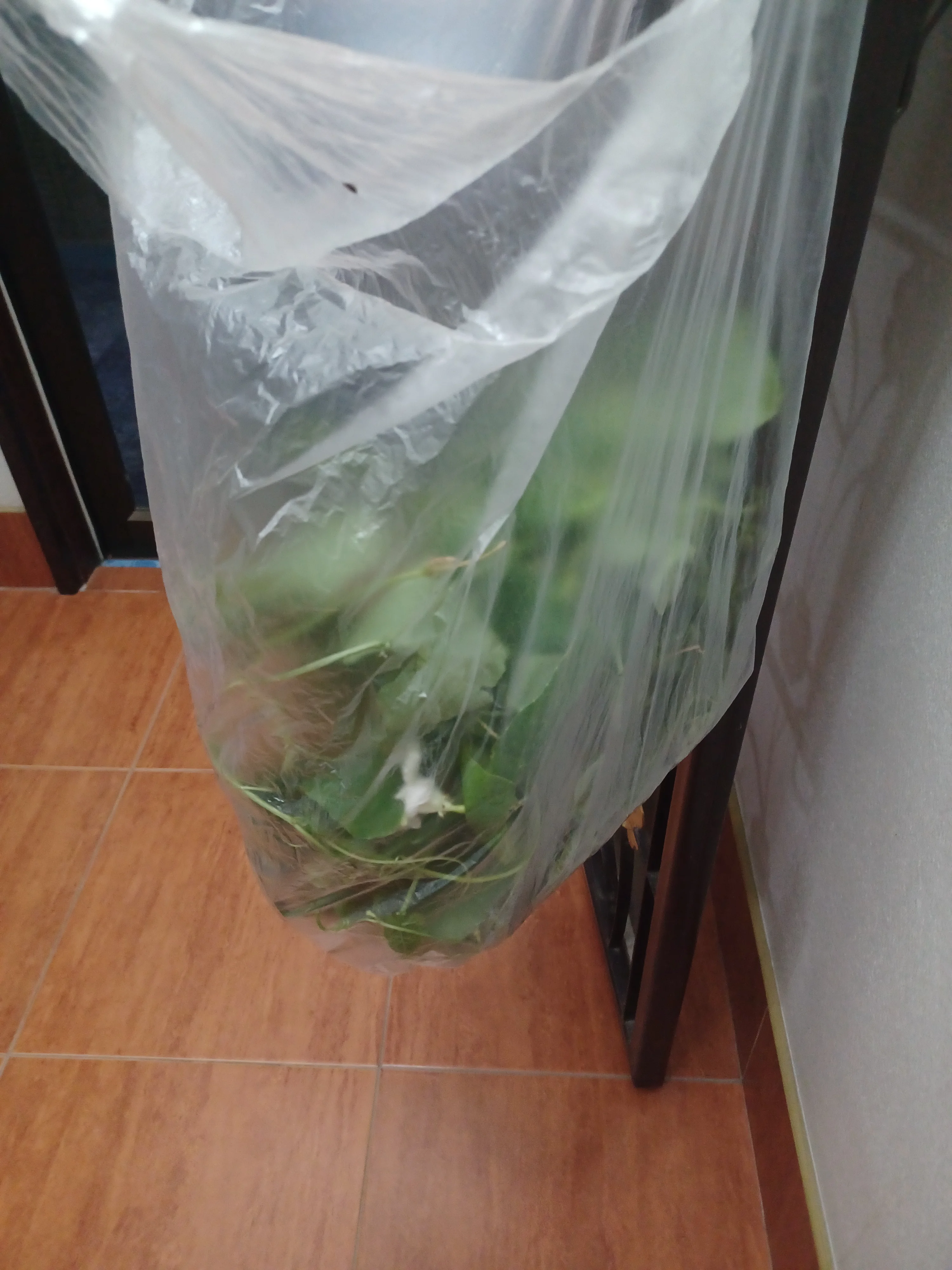 20251007_104118.webp
