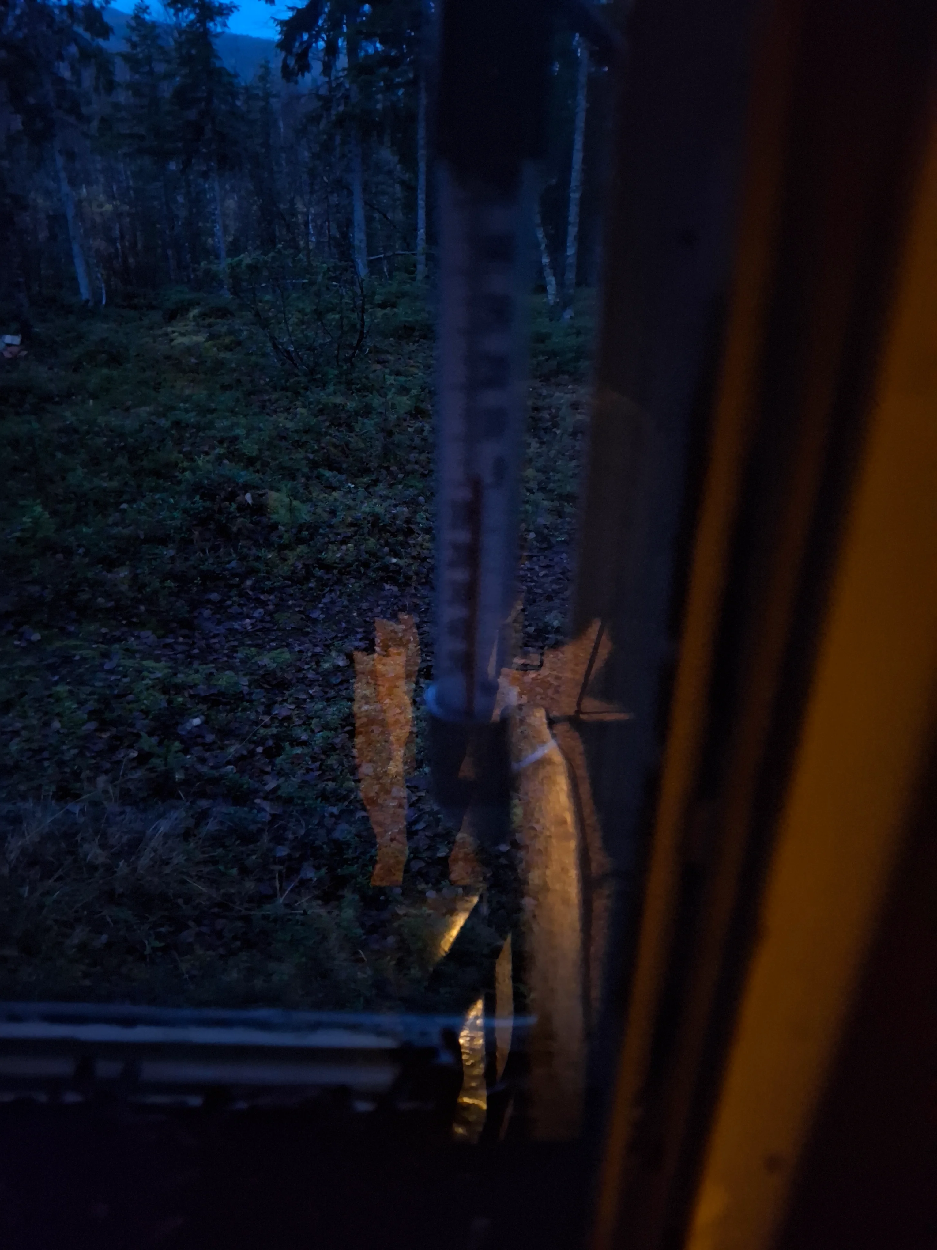 20251008_062402.webp