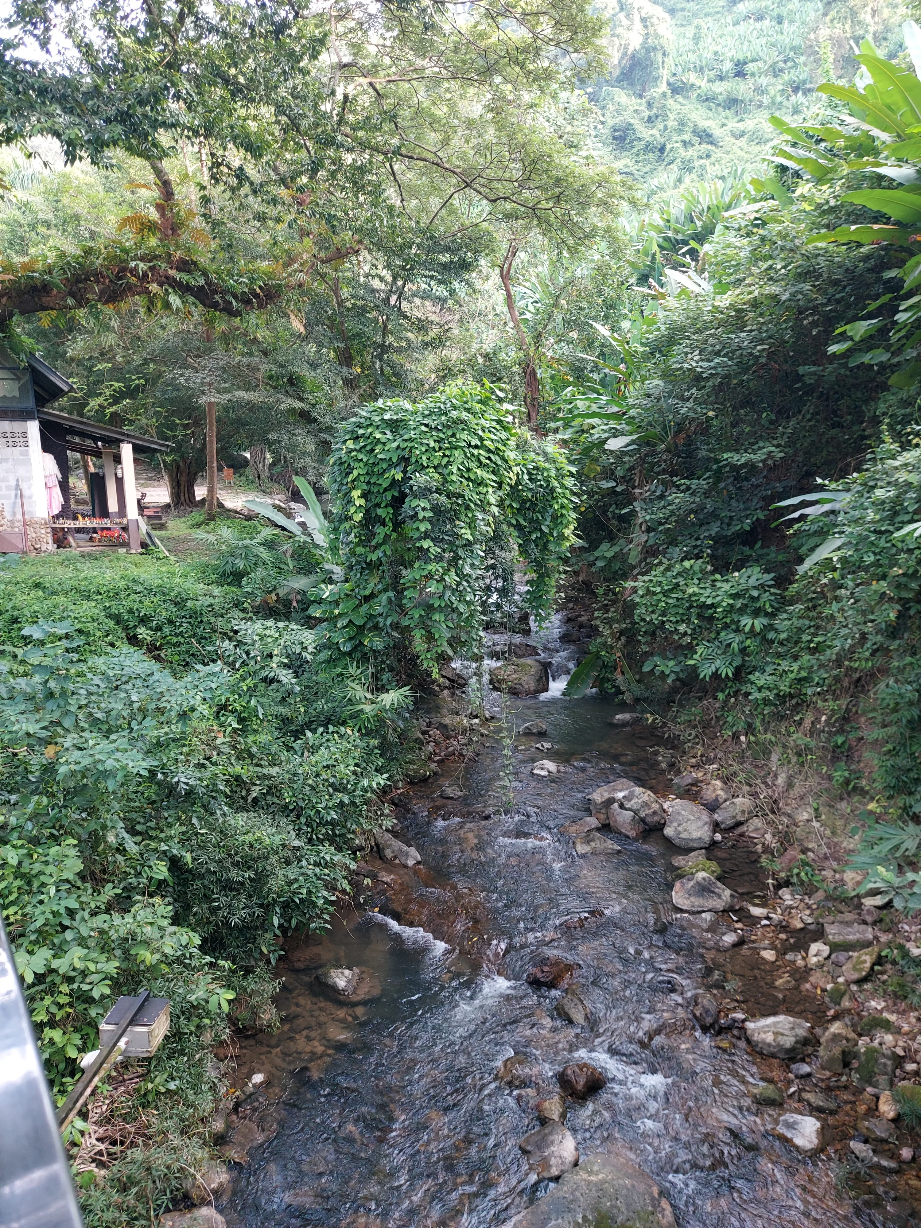 20251023_073530.webp