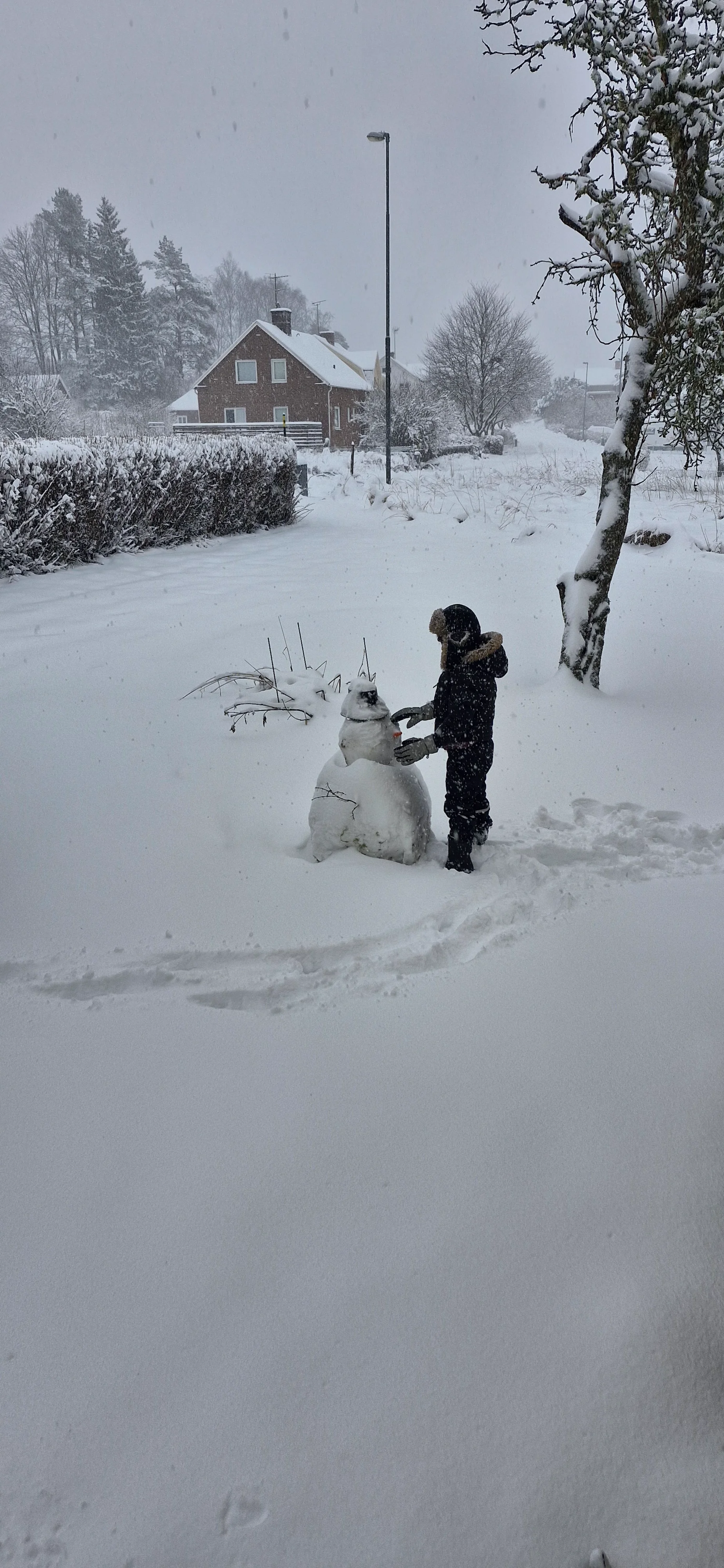 20260102_112926.webp