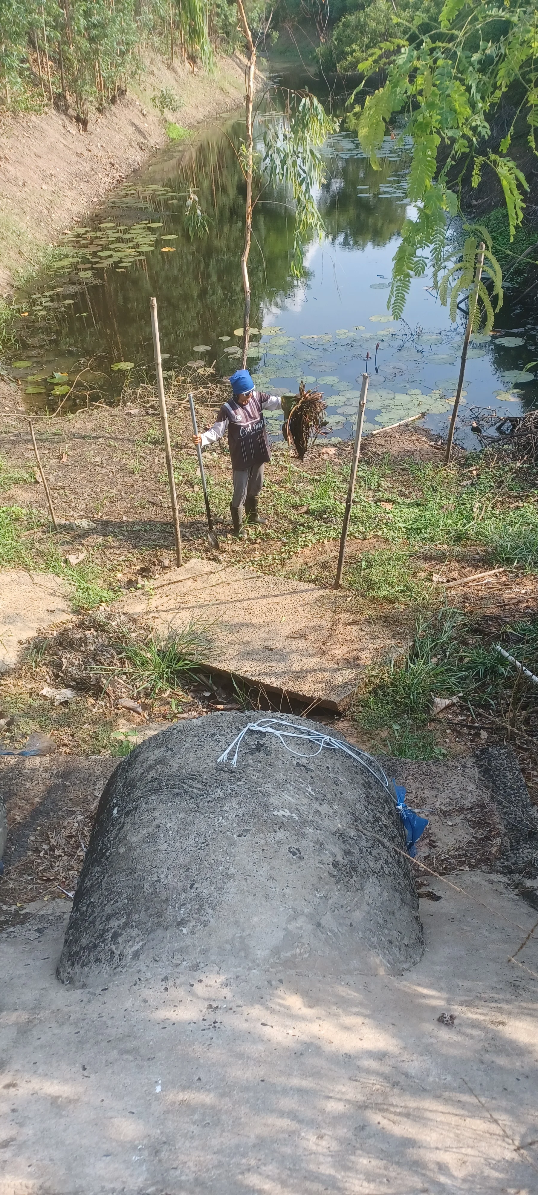 20260504_154532.webp