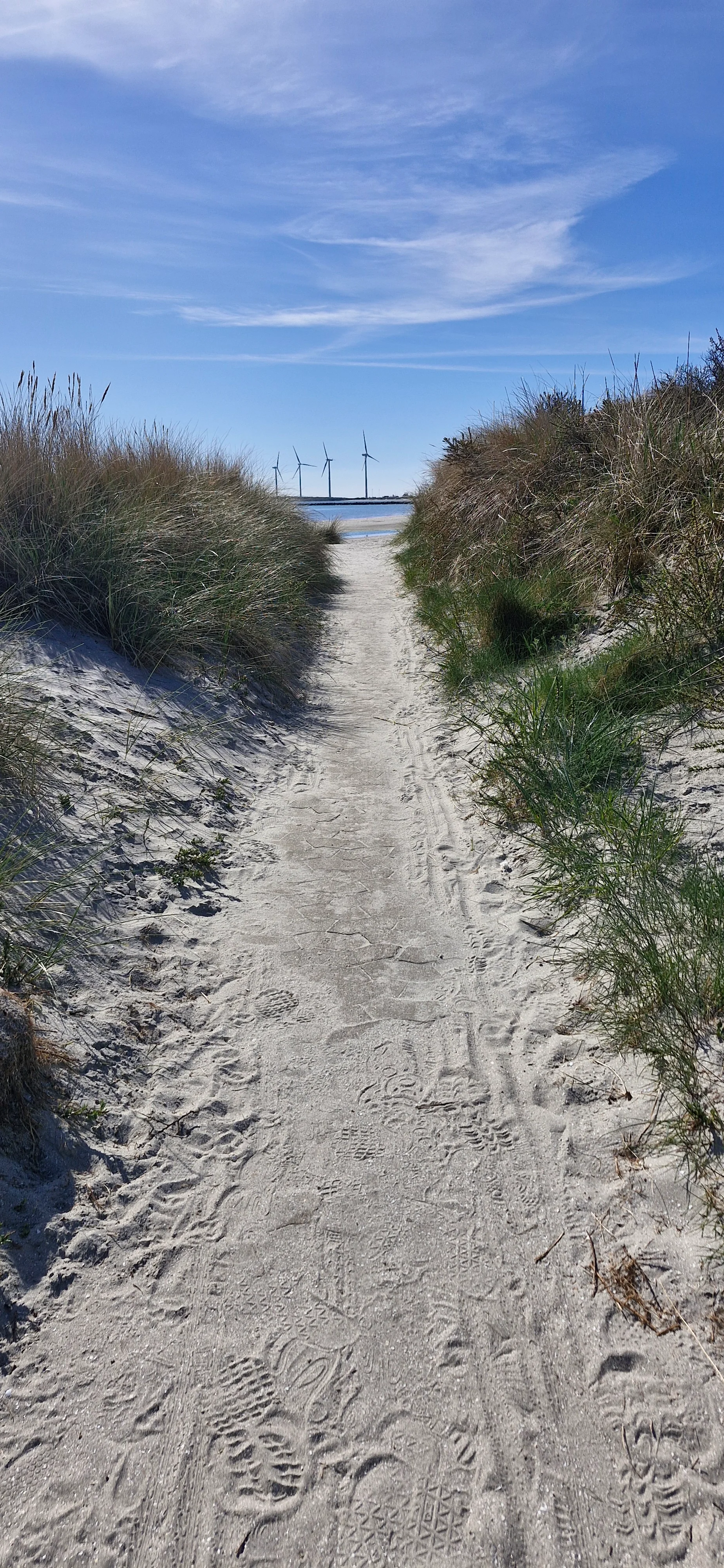 20260507_101827.webp