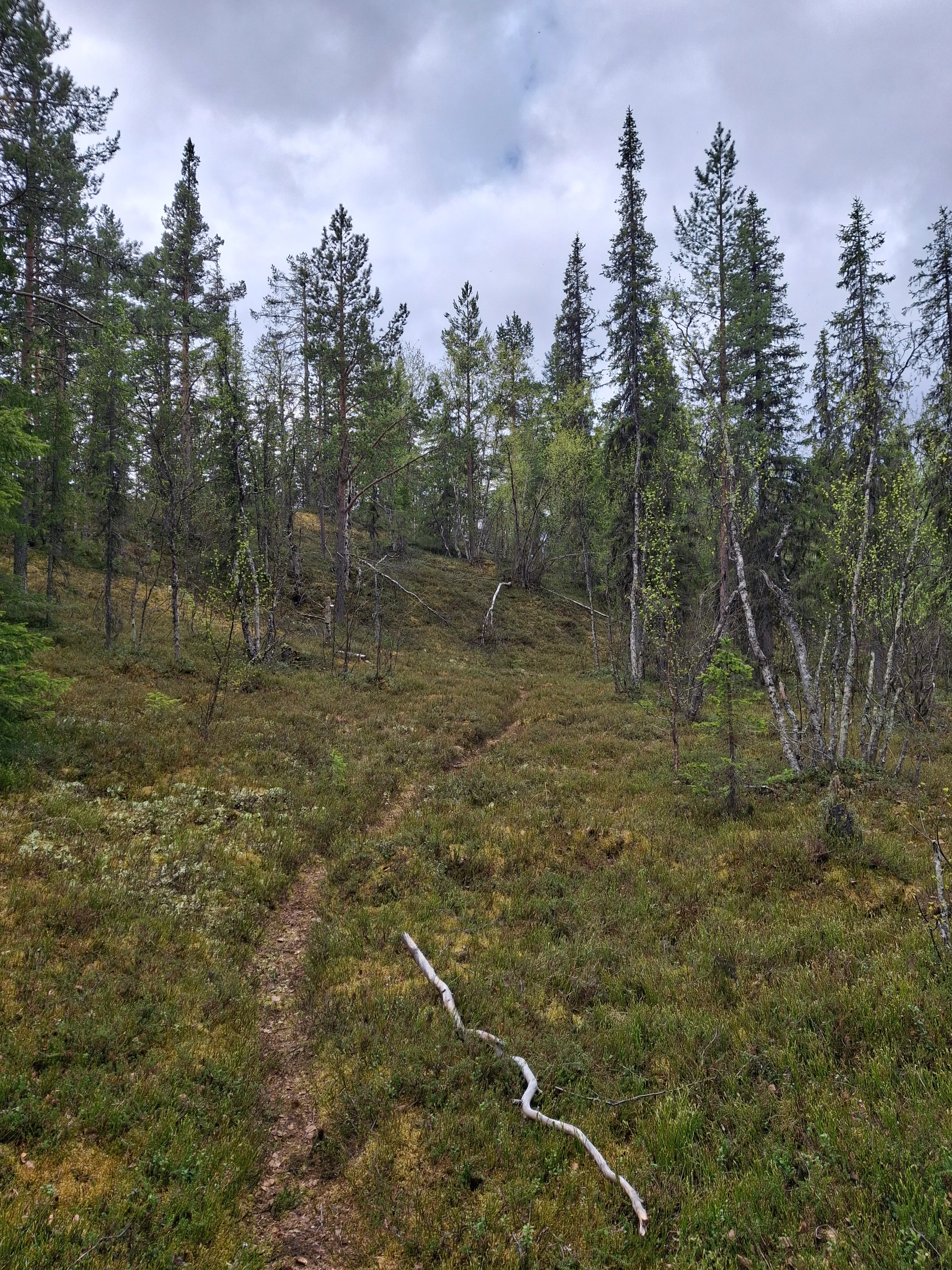20260601_094057.webp