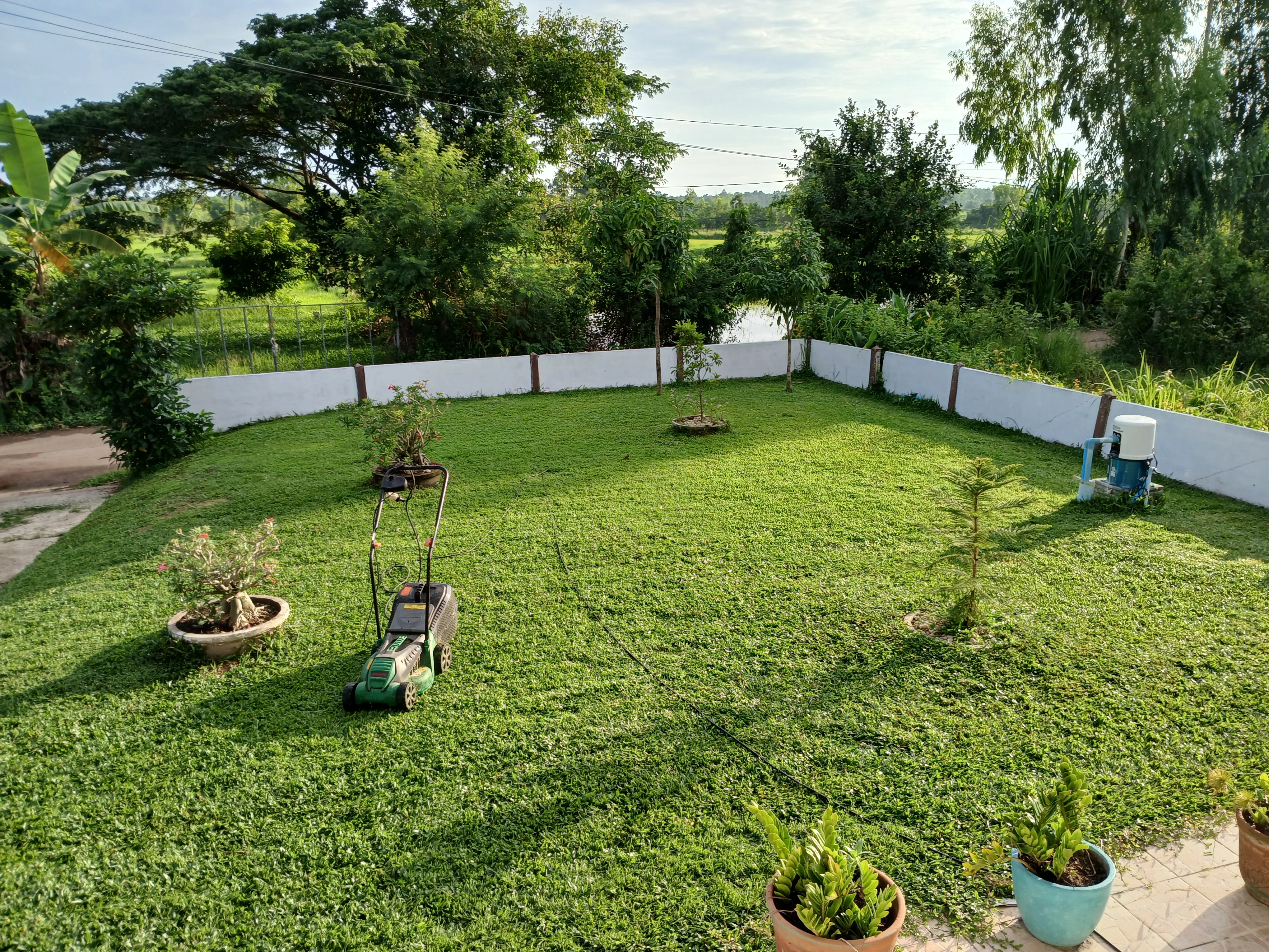 20260613_063858.webp