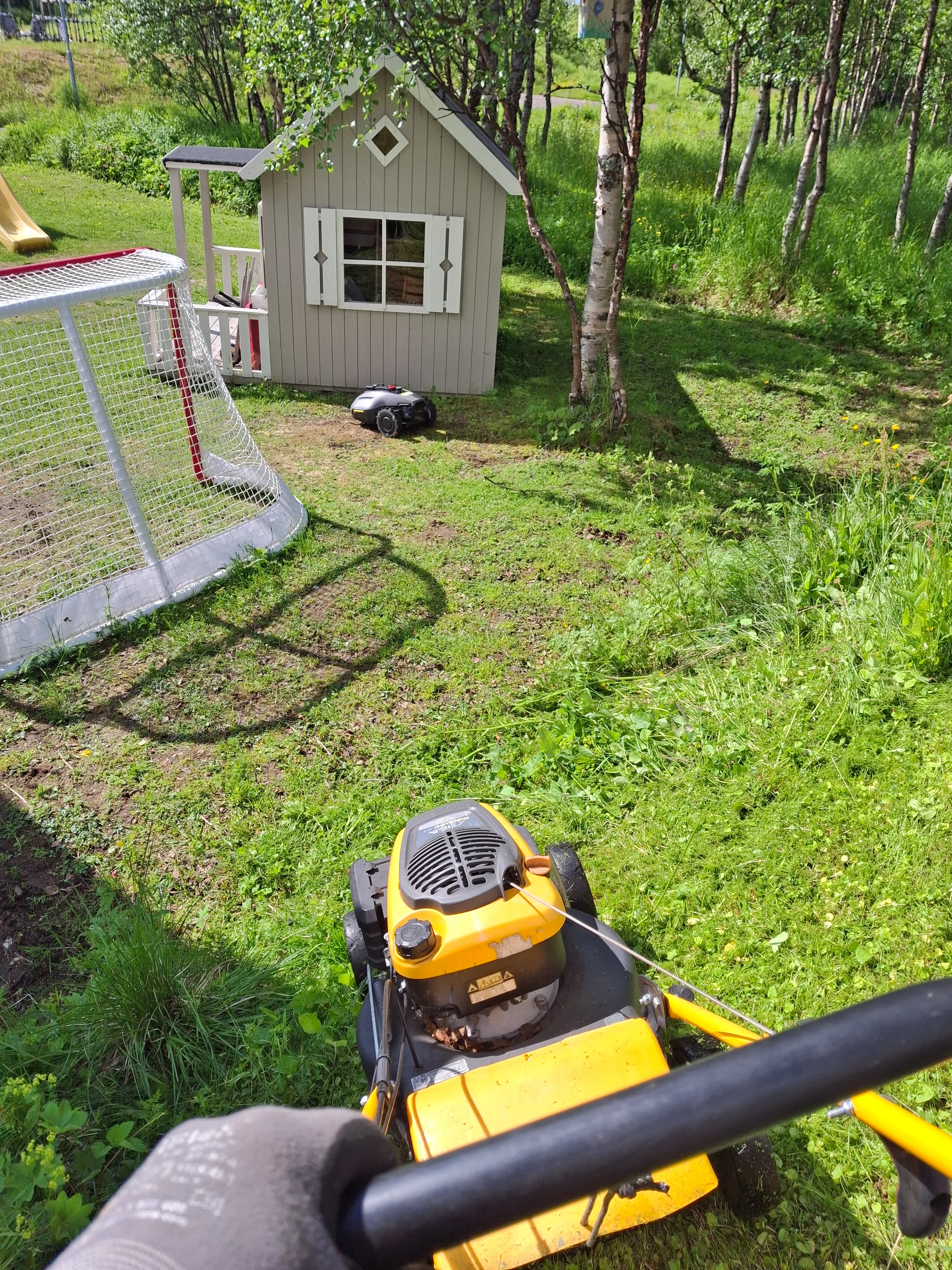 20260625_101819.webp