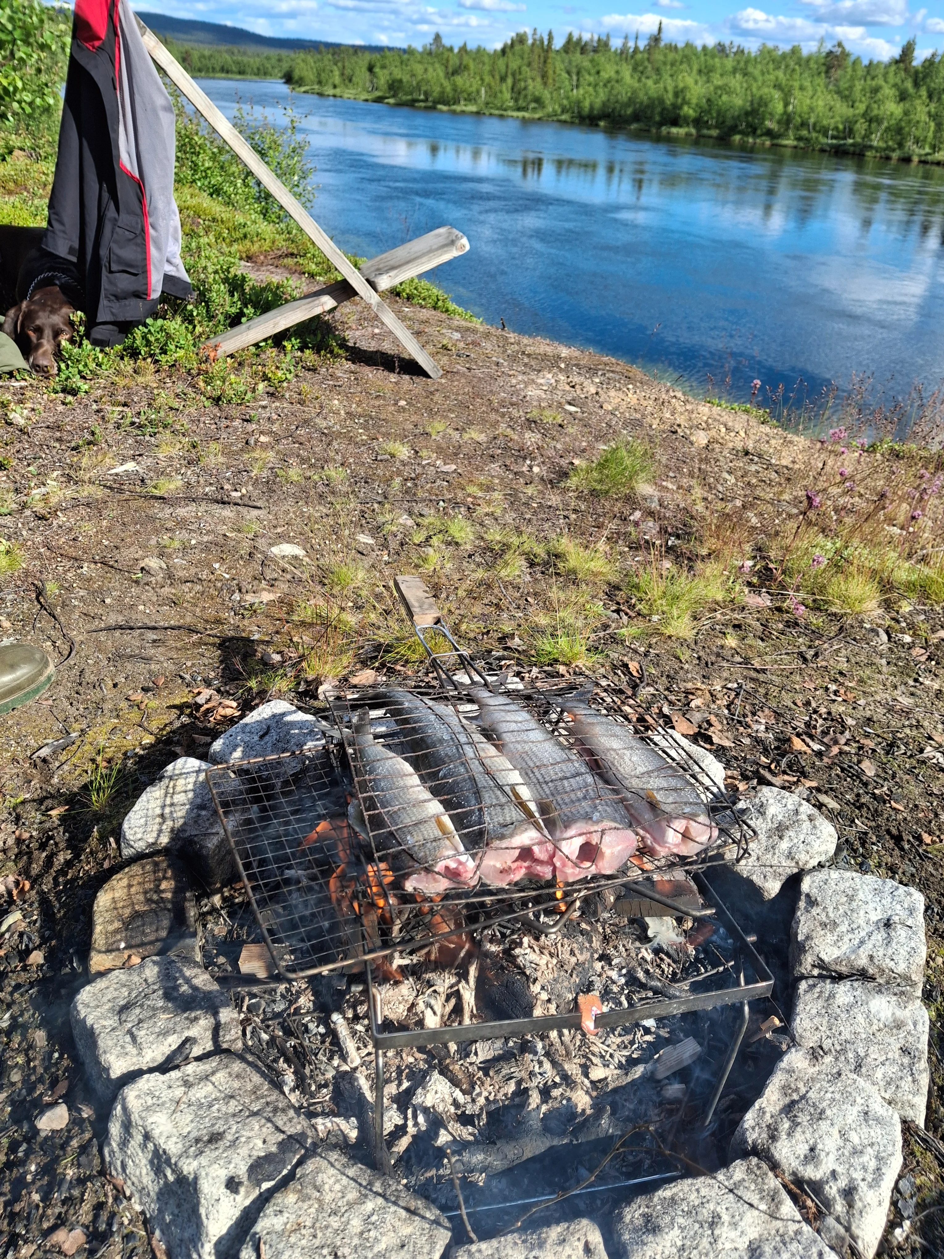 20260703_162610.webp