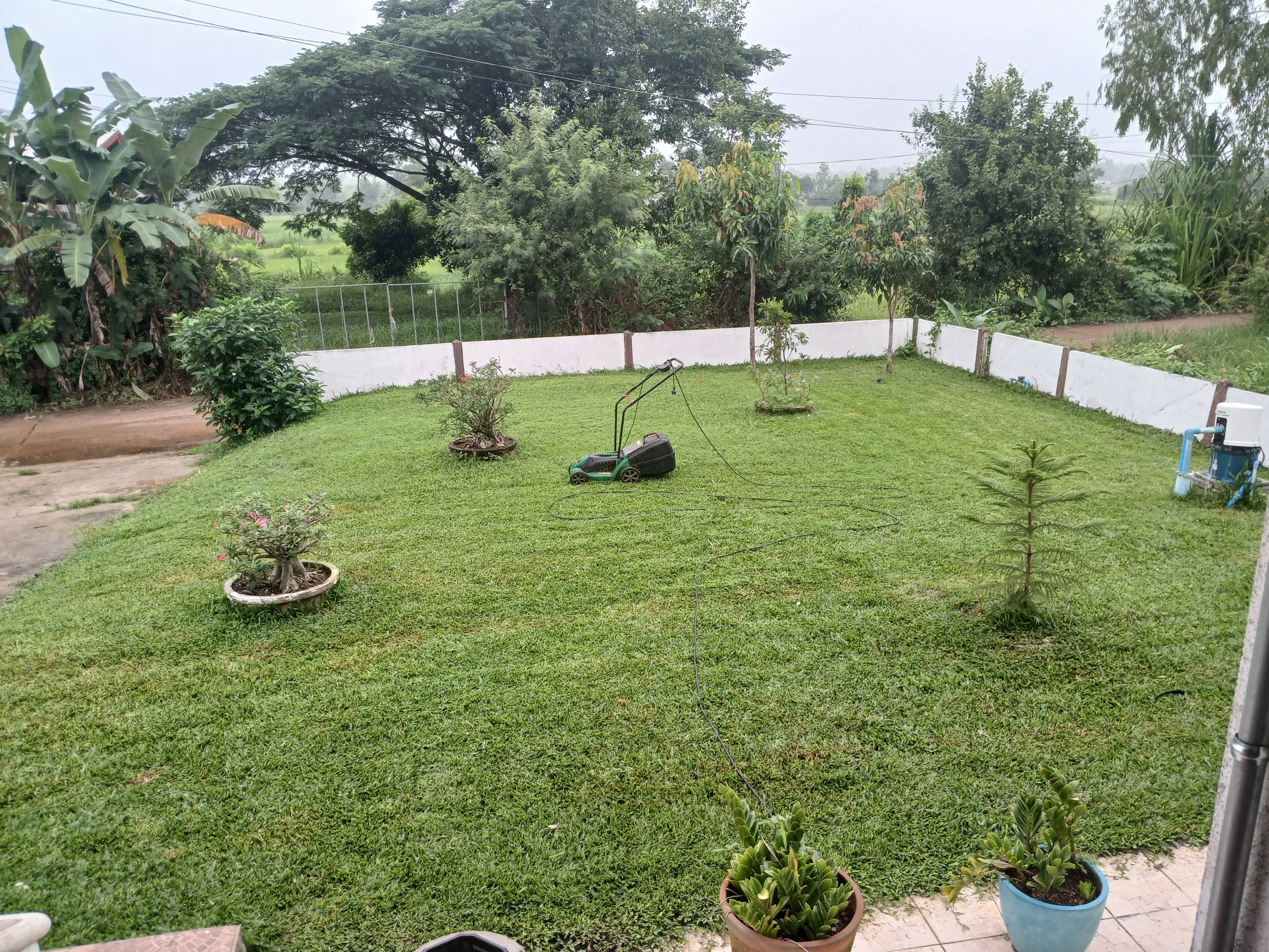20260711_093806.webp