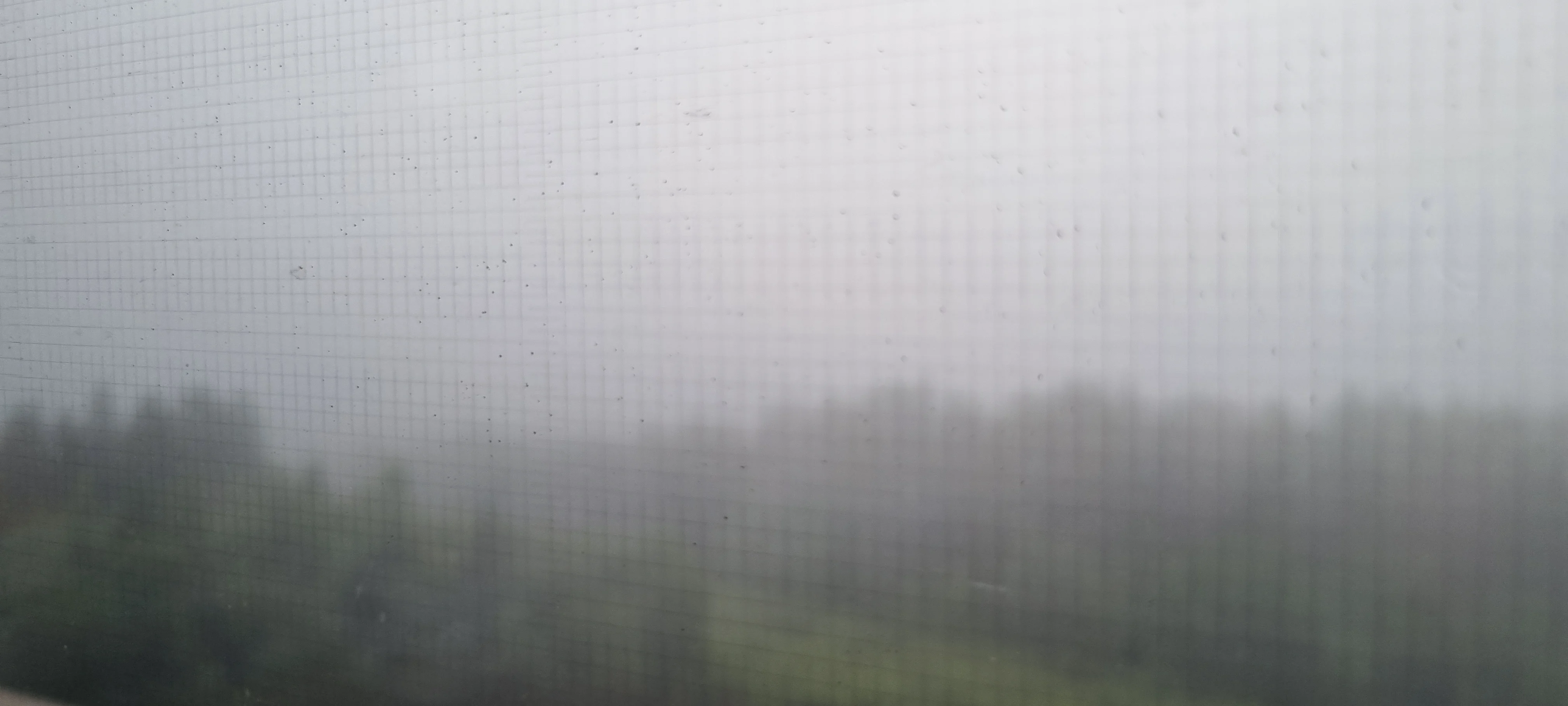 20260725_081428.webp