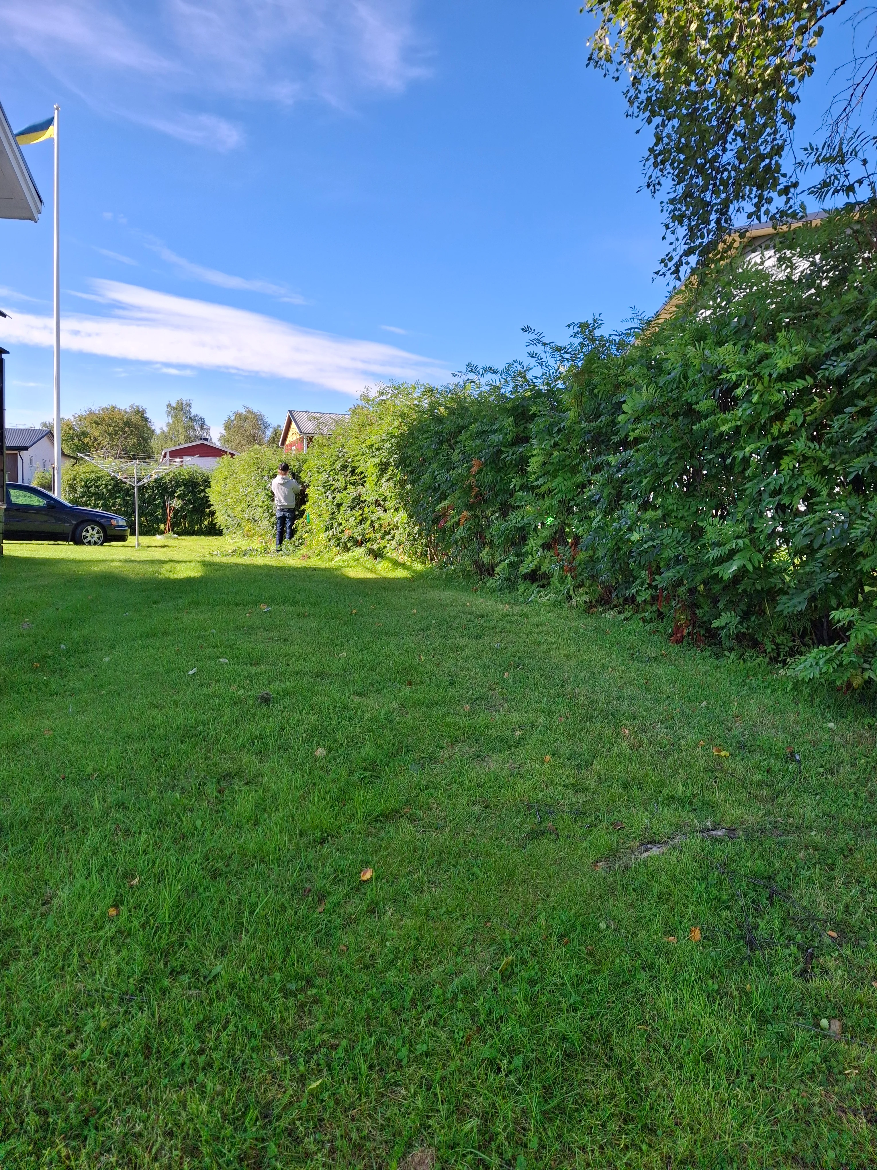 20260812_090511.webp