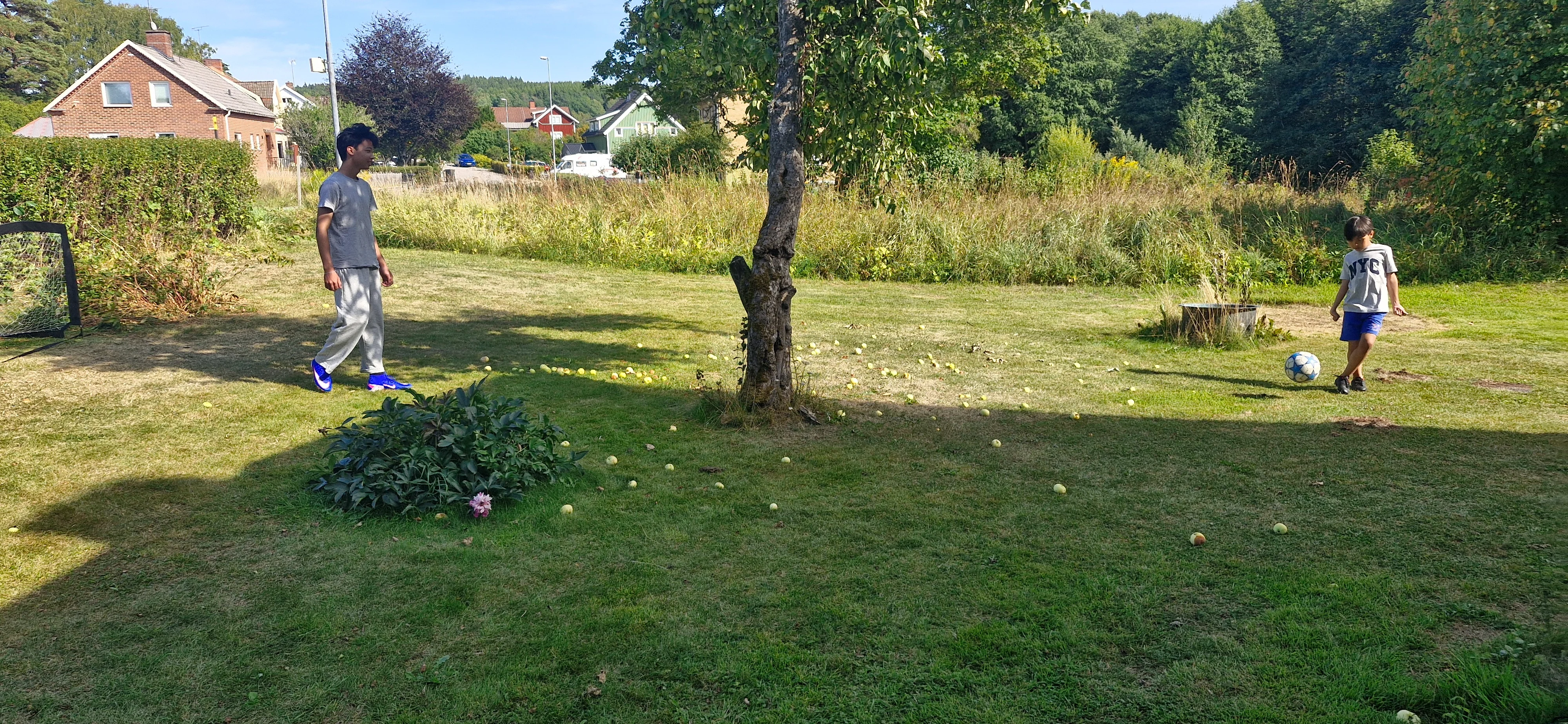20260814_153502.webp