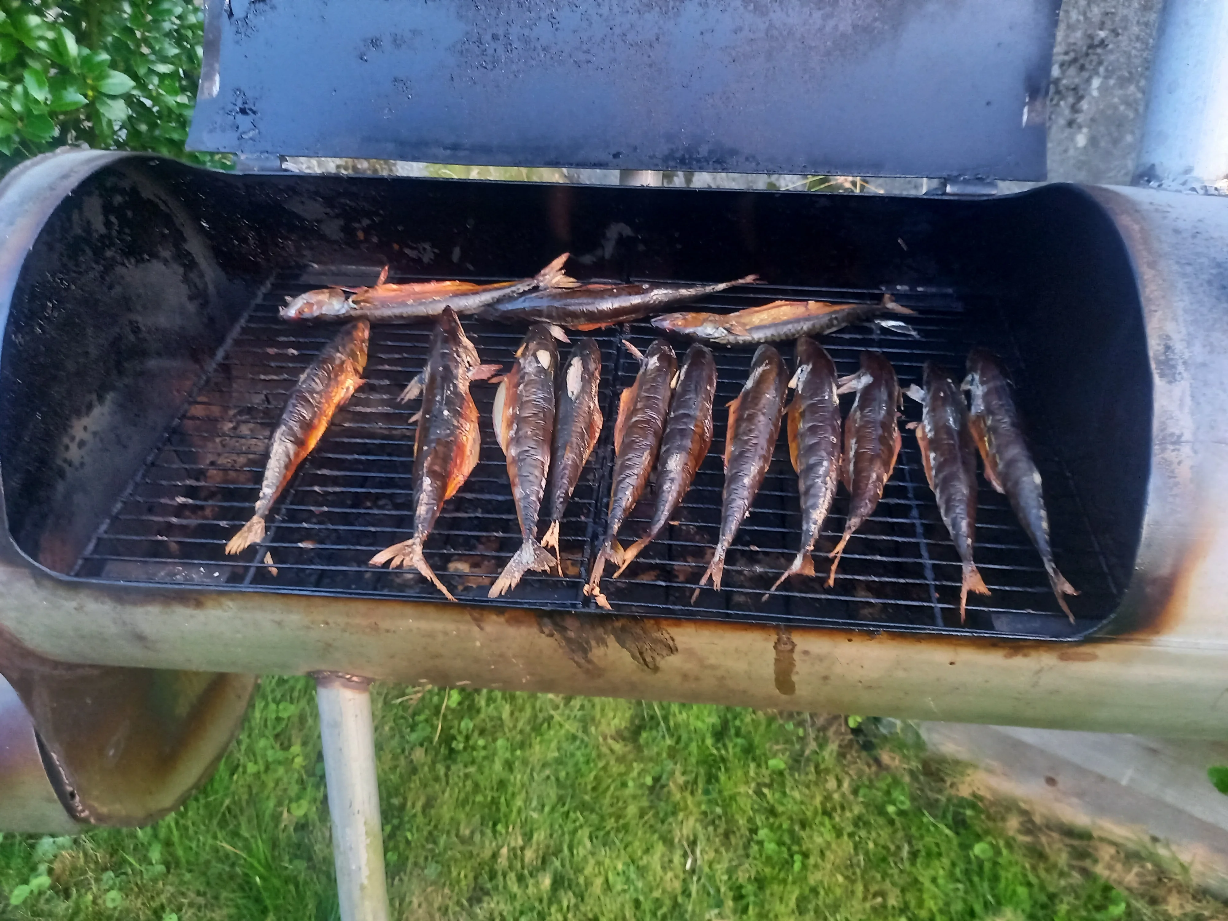 20260817_204946.webp