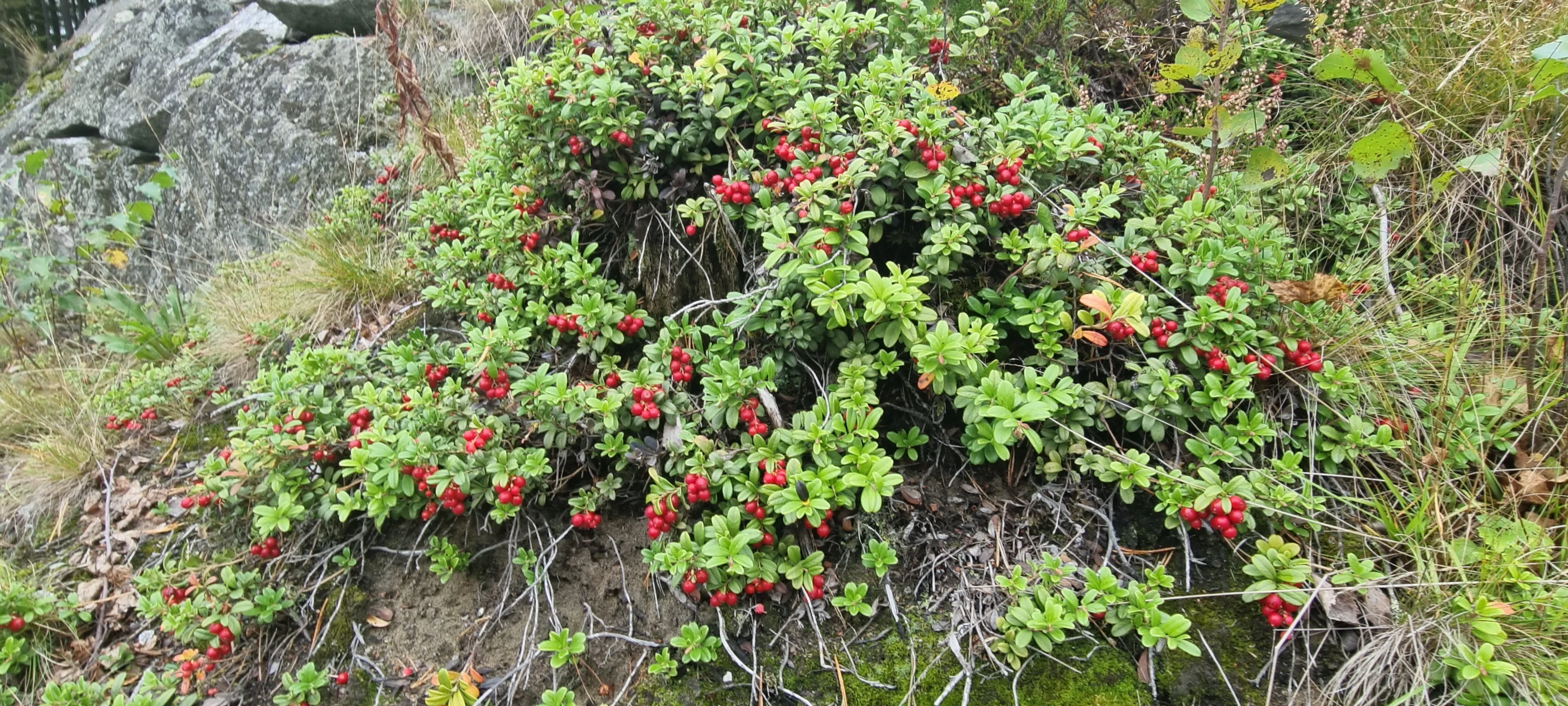 20260901_095019.webp