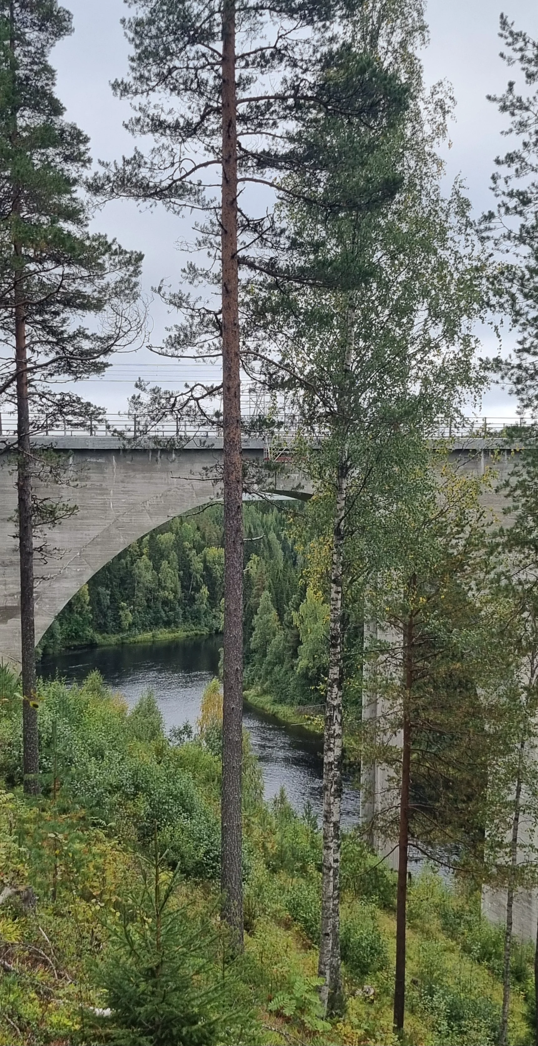 20260901_095230.webp