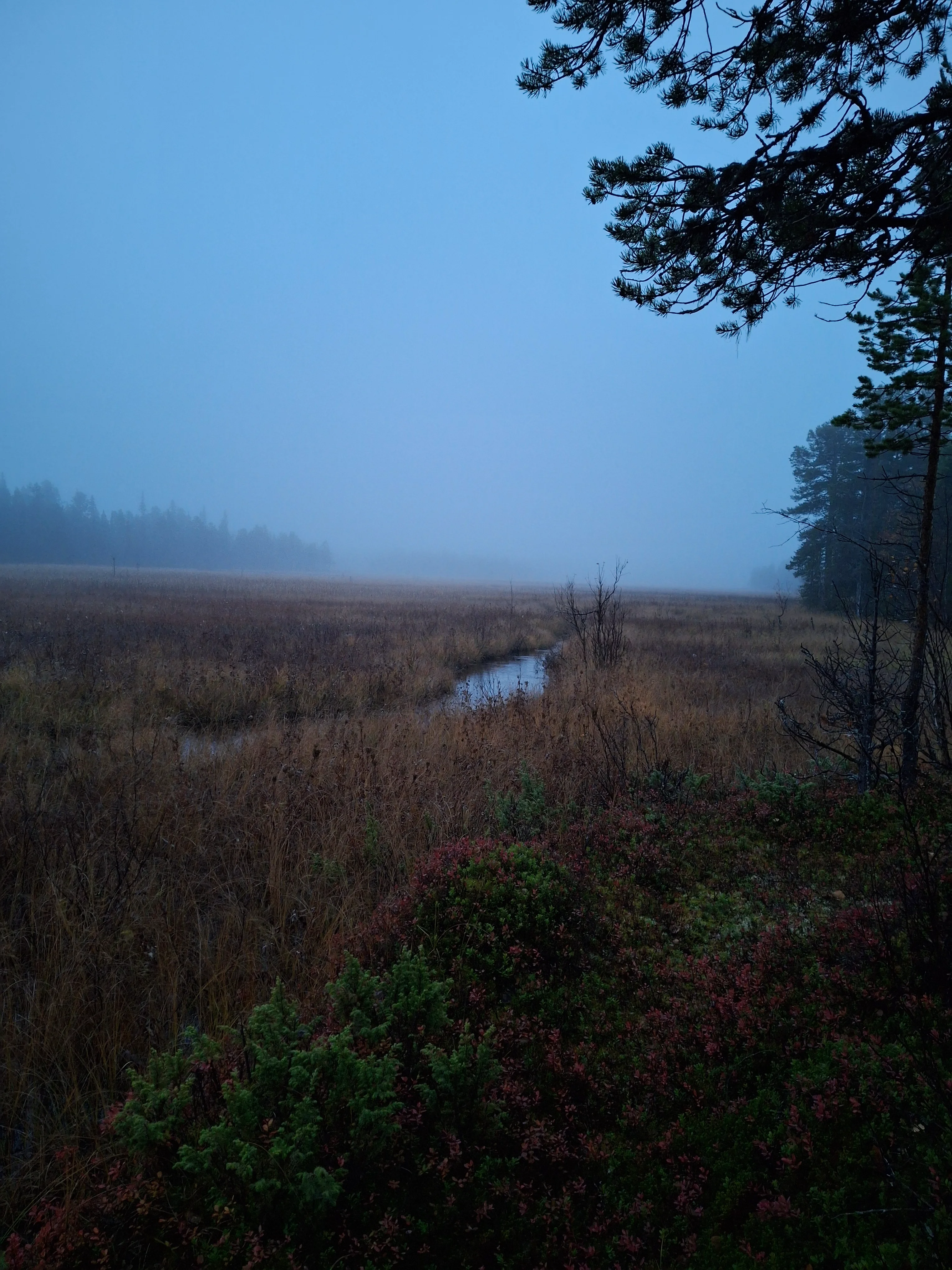 20260920_054215.webp