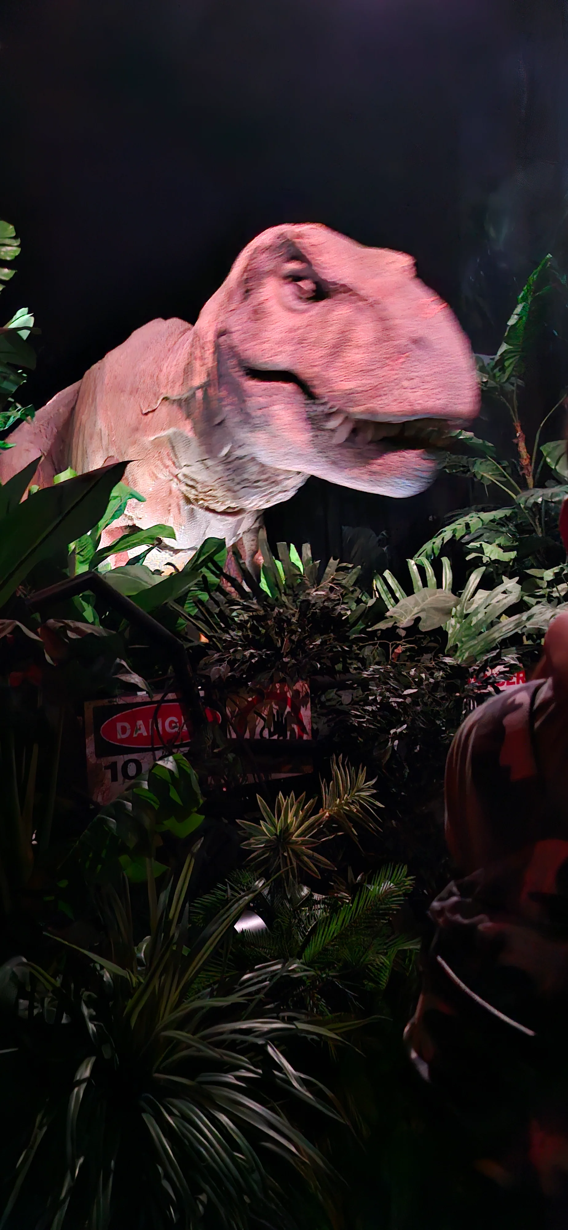 20260925_124701.webp