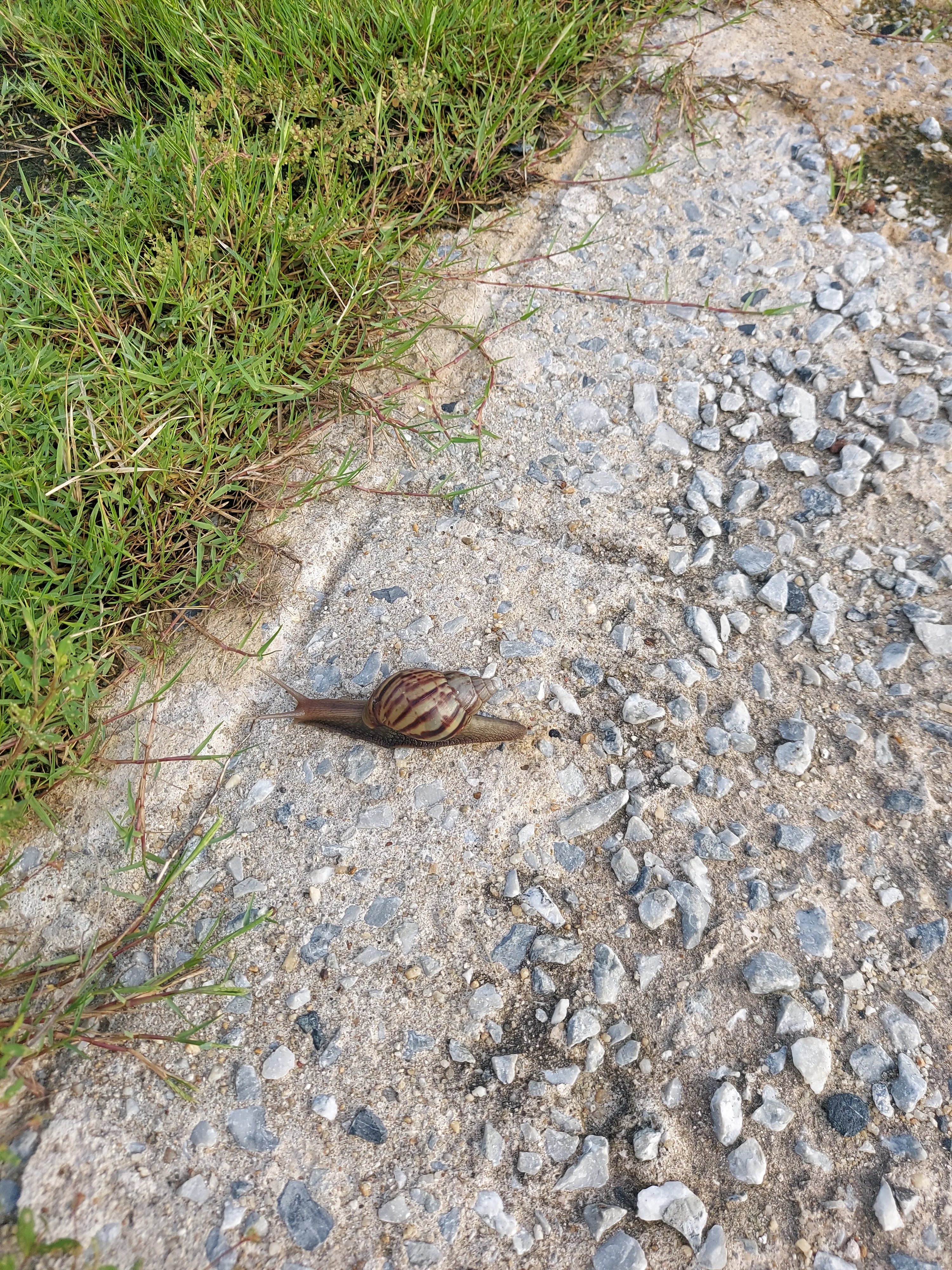 20260930_075352.webp