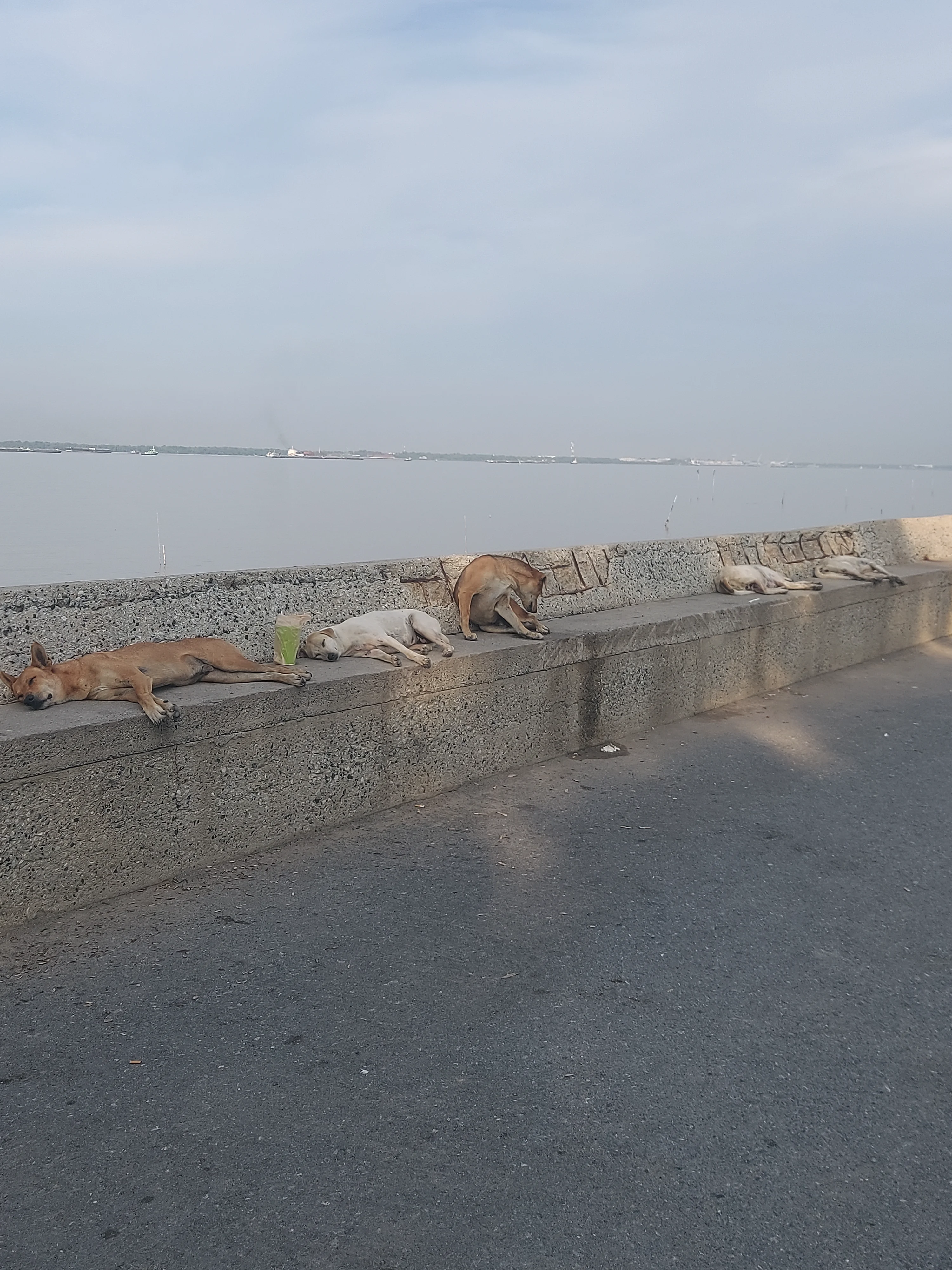 20261004_072444.webp