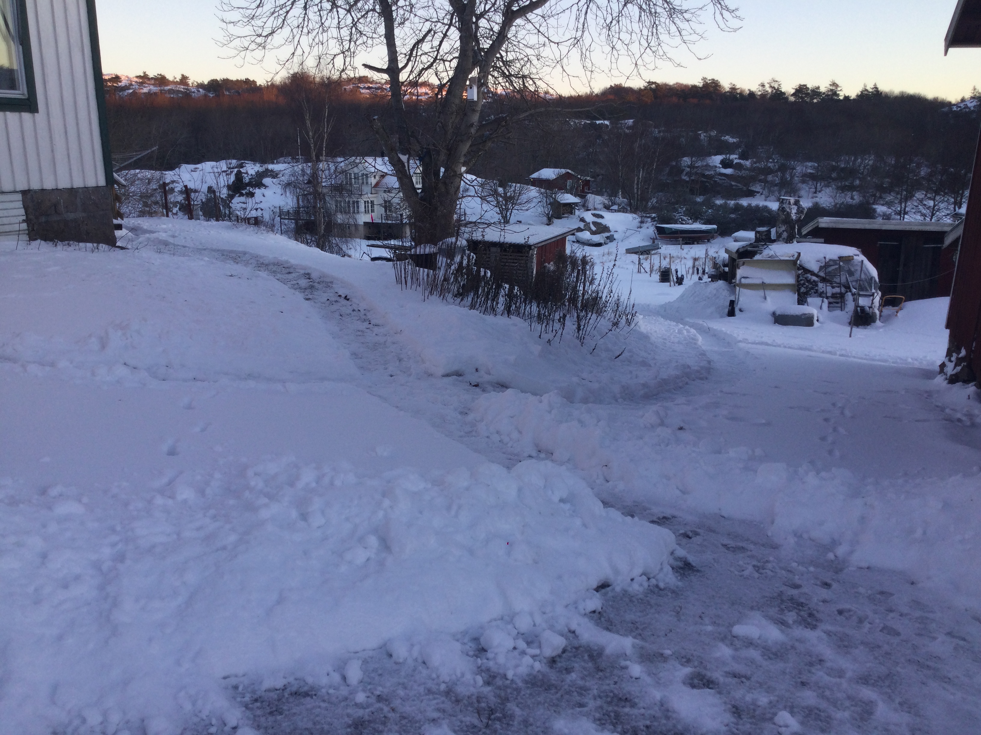 20FEB3B9-9329-4E81-BAFC-23DB64E079B3.jpeg
