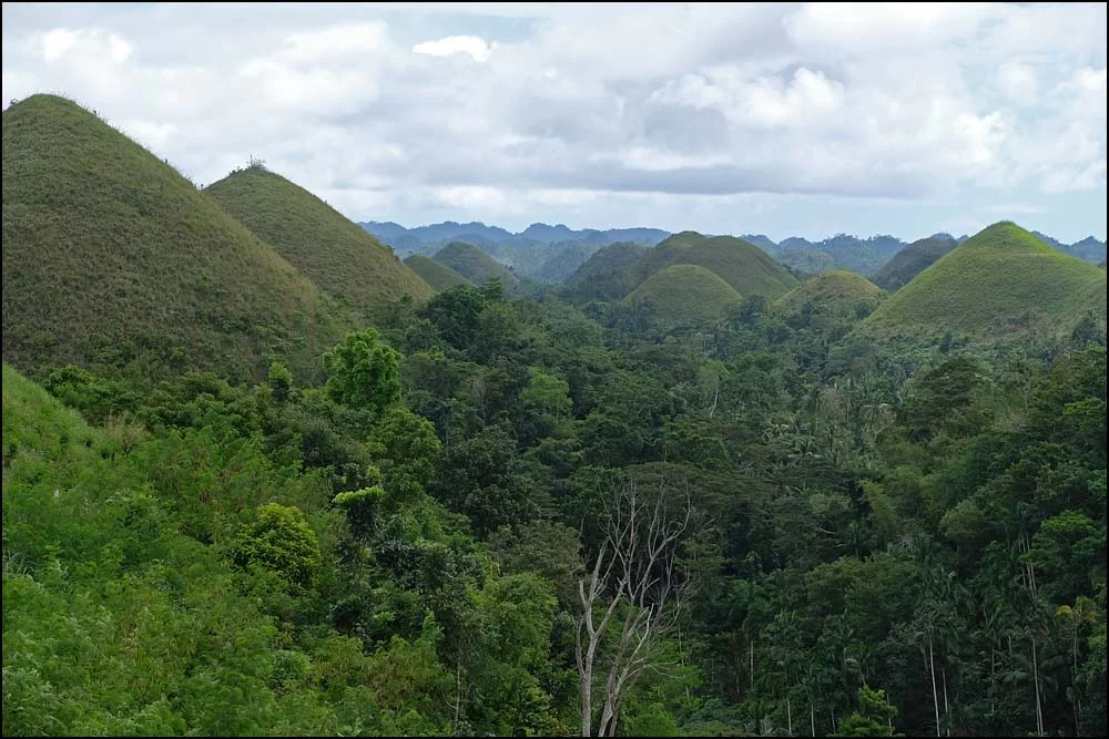 23-1373 Chocolate hills BOH.webp