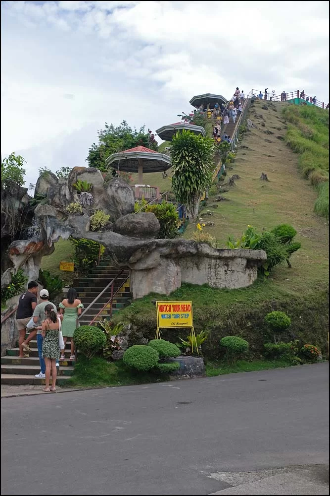 23-1381 Trappan, Chocolate hills BOH.webp