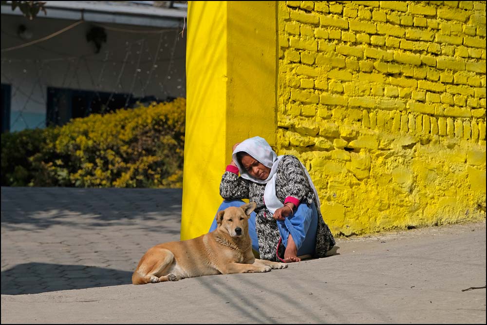 24-0029 Kvinna med hund, Old Baneshwor KTM.jpg