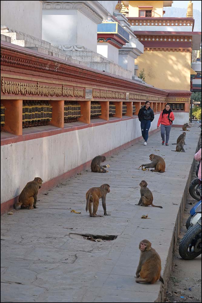 24-0082 Apor på trottoaren KTM.jpg