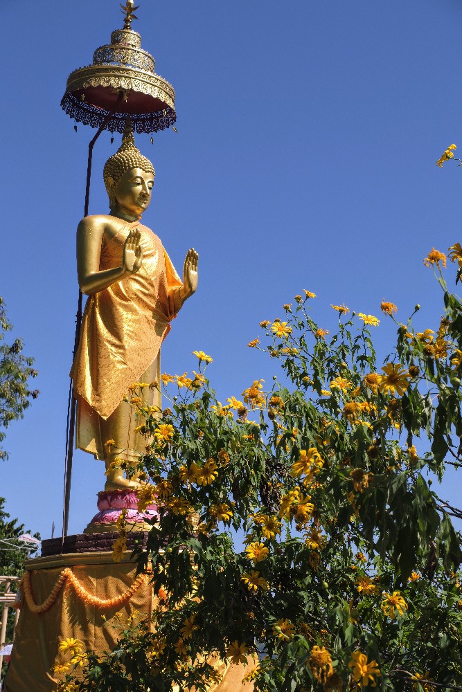 24-1275 Buddha bland blommor CHR.JPG