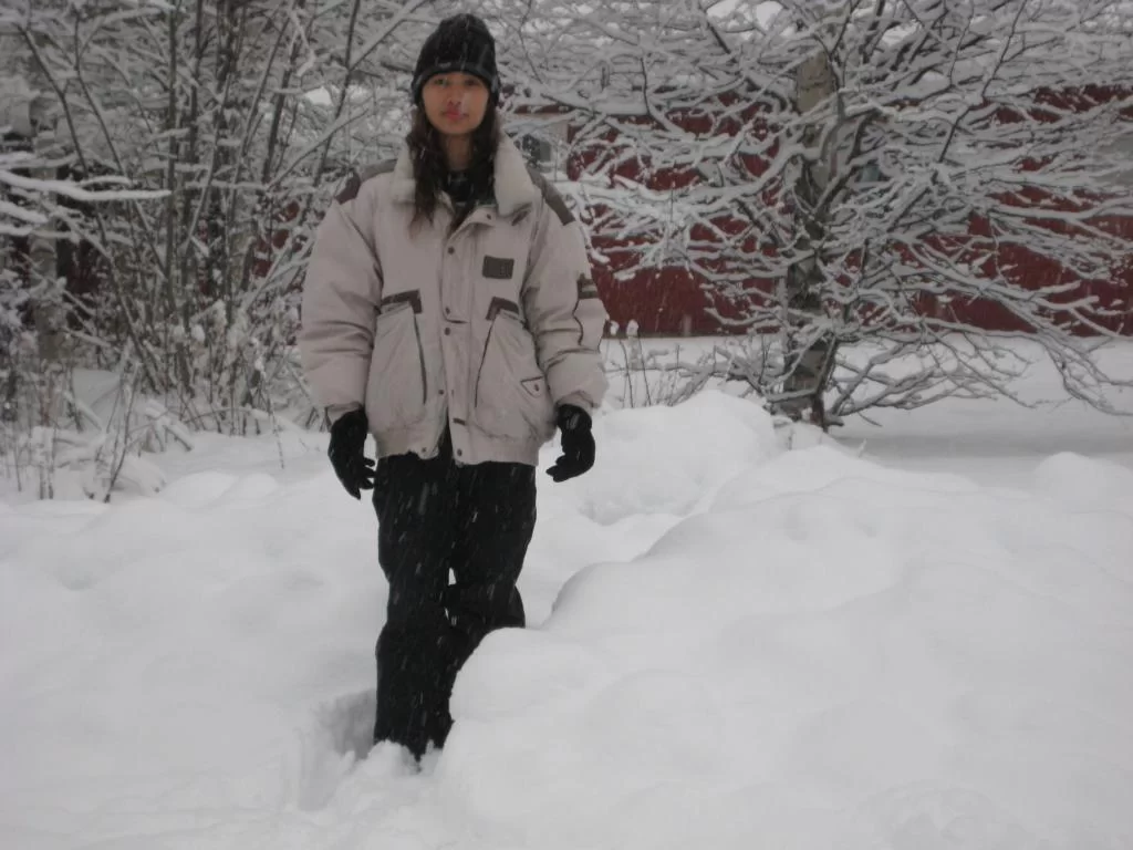 260.webp