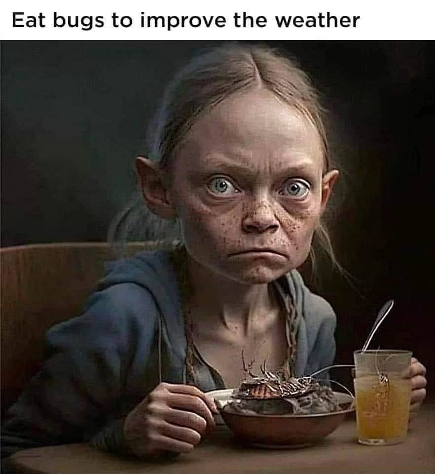 335463561_1608094679615720_1538622022361118627_n.webp