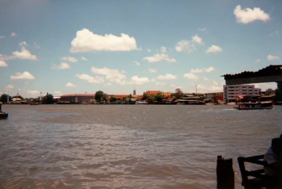 34.webp