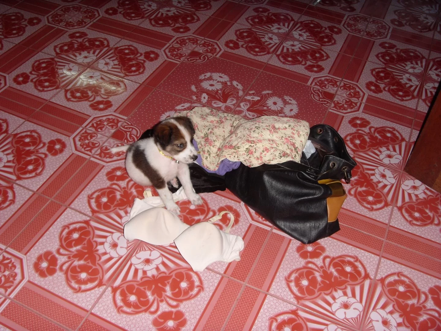 369.webp