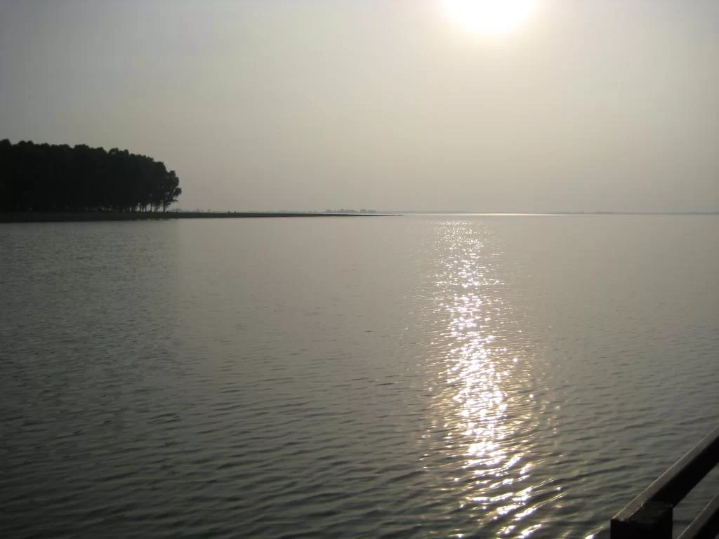 463.webp