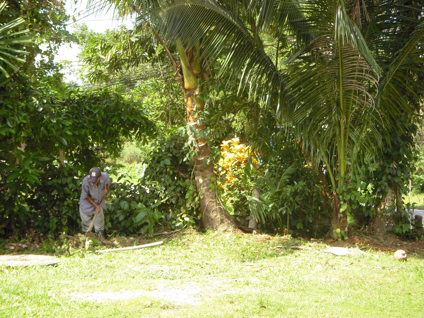 479.JPG