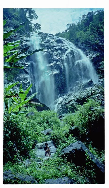 723_web.webp