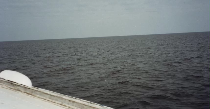 9.webp