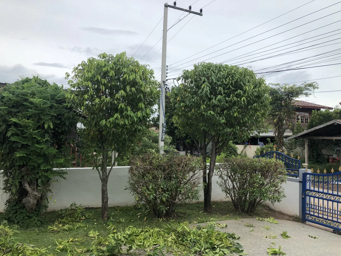 937CCB4B-B17F-4AD0-BA4D-4801FE31B731.webp