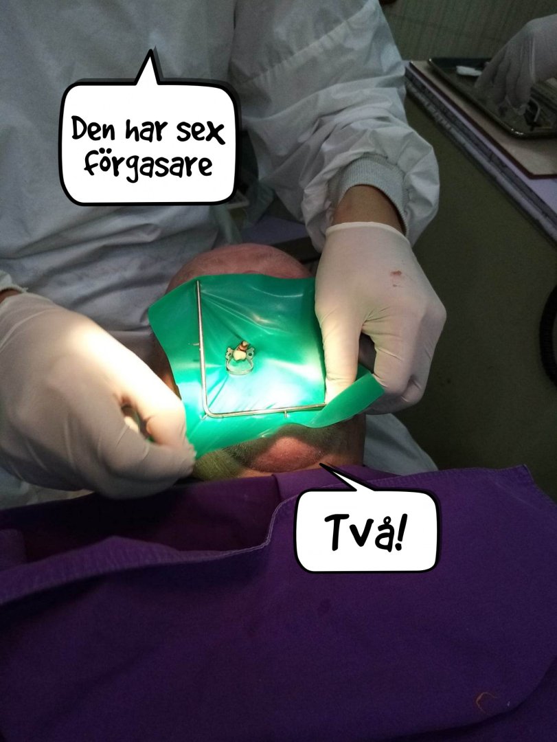 9itwtv.jpg