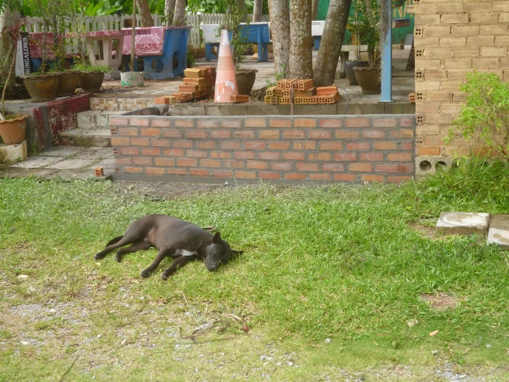 +++++++++++++++å 005.webp