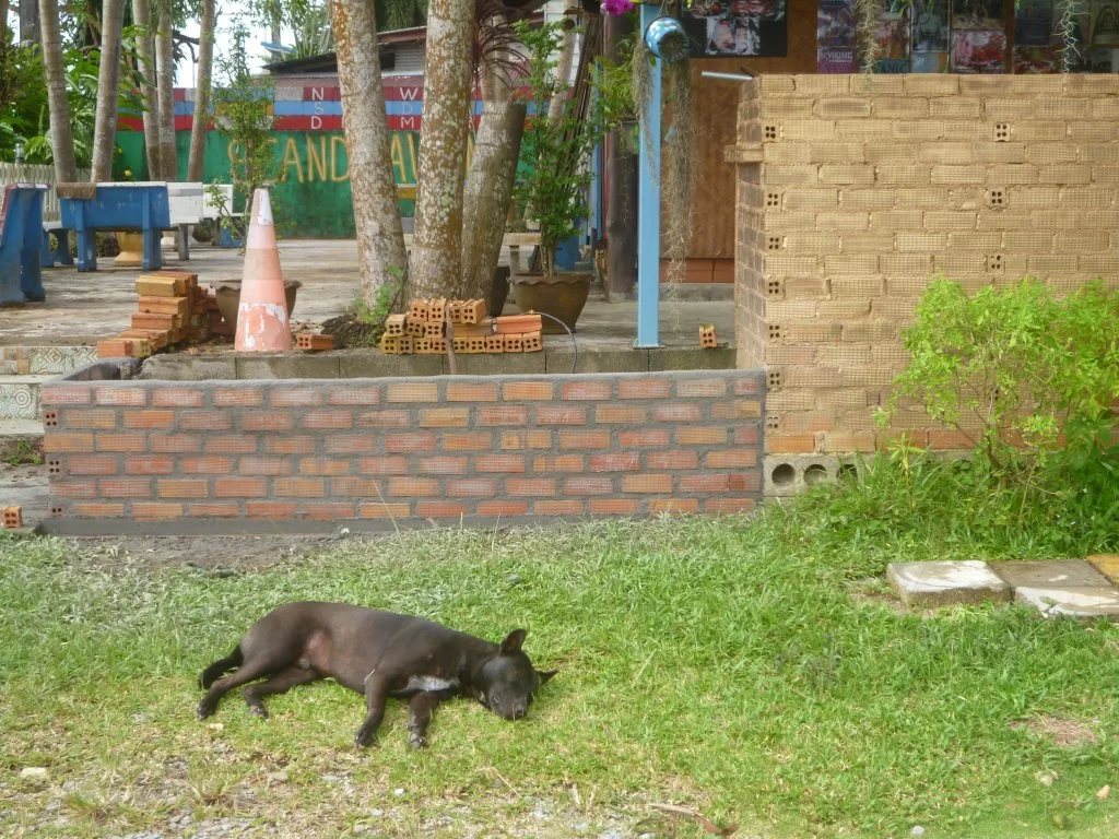 +++++++++++++++å 006.webp