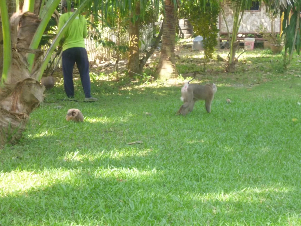 ååååååååååååååååååååååååå 012.webp