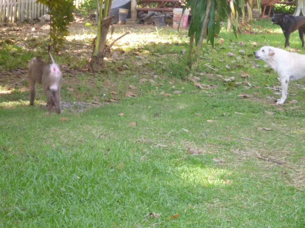 ååååååååååååååååååååååååå 013.webp