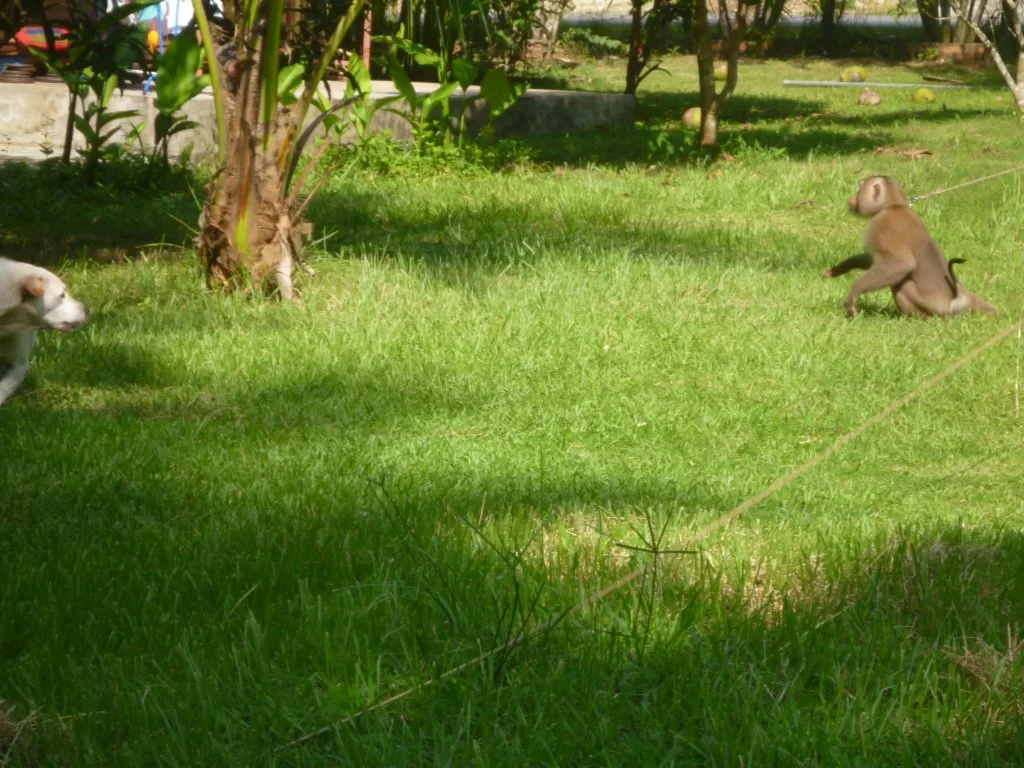 ååååååååååååååååååååååååå 015.webp