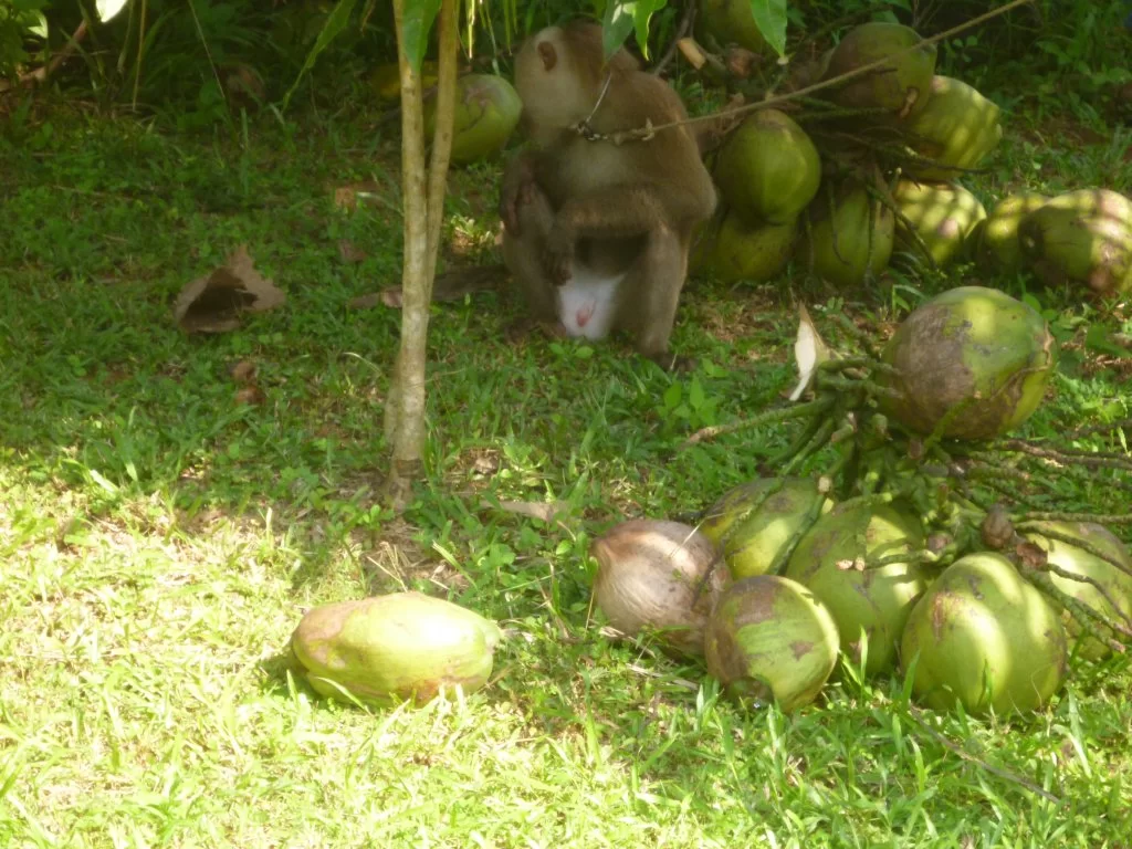 ååååååååååååååååååååååååå 016.webp