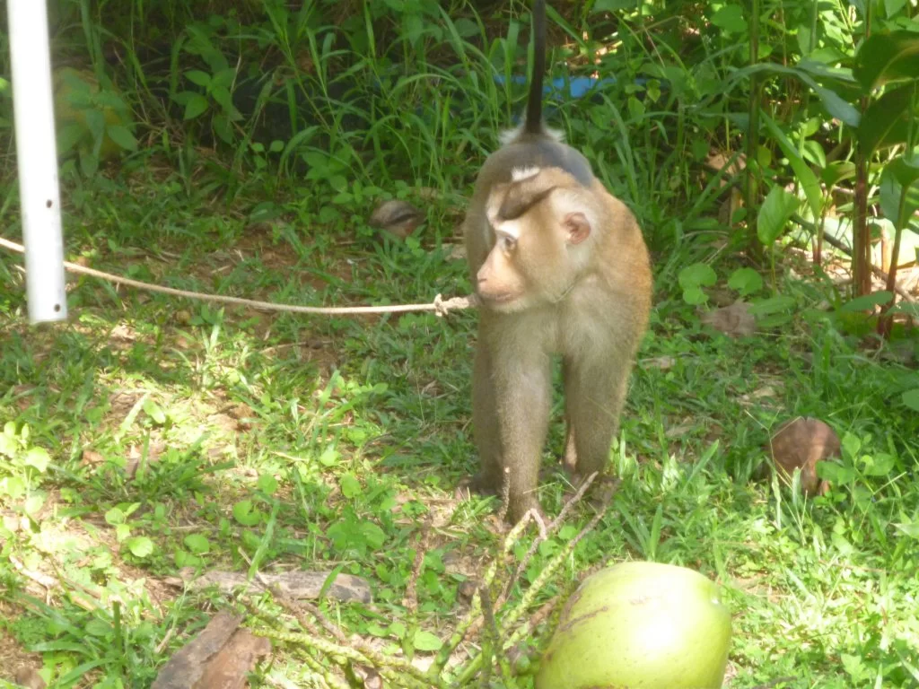 ååååååååååååååååååååååååå 025.webp