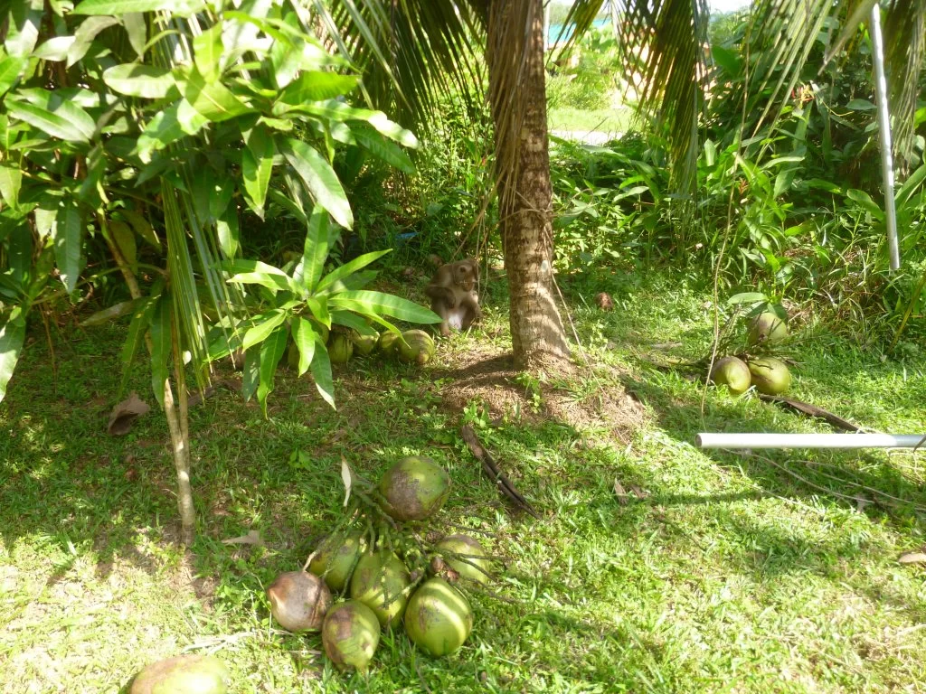 ååååååååååååååååååååååååå 026.webp